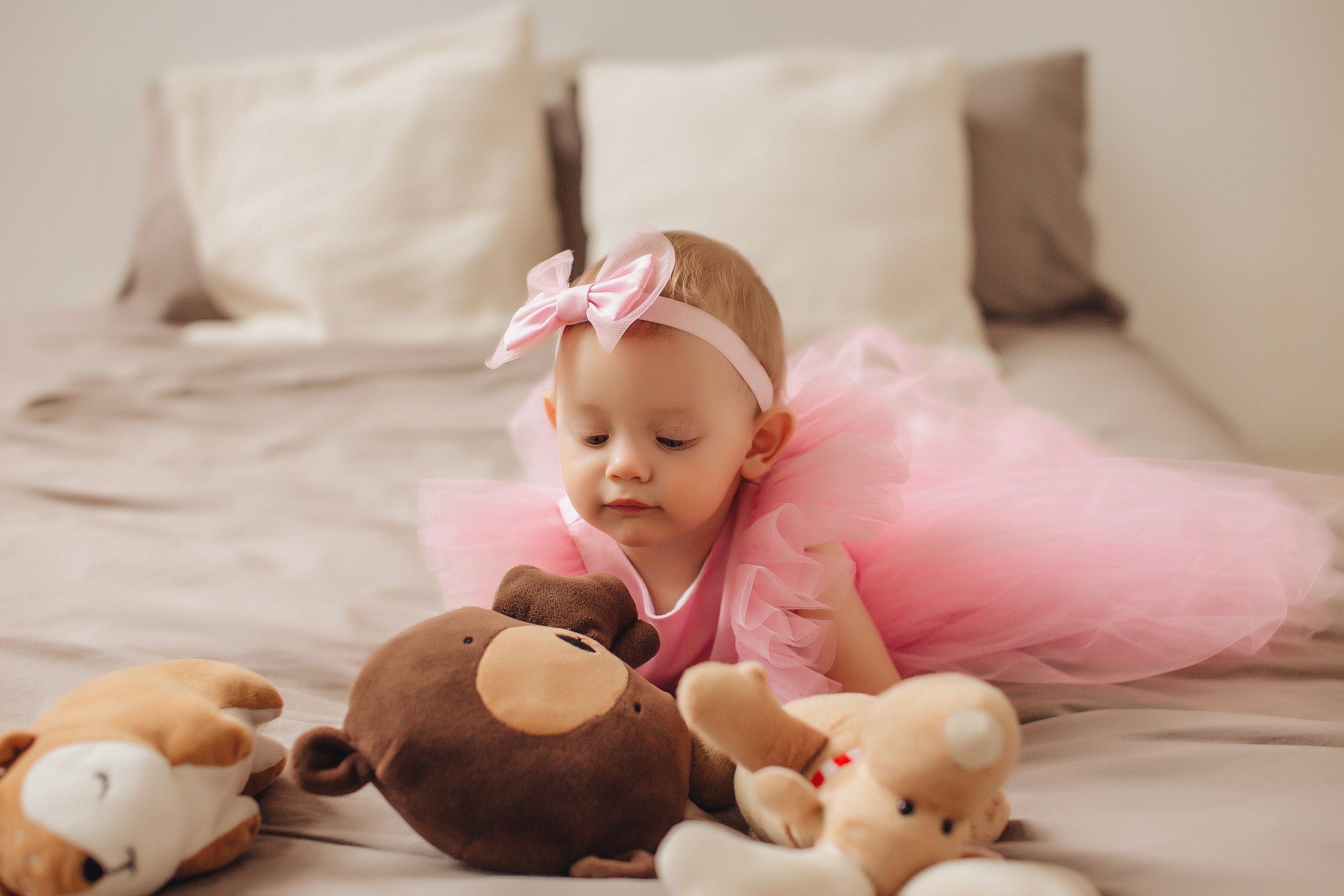 Алина + Коля + Алиса. Студия. Свадебный и семейный фотограф Пушкин Царское Село СПБ Питер Санкт-Петербург и Рязань Ольга Козлова