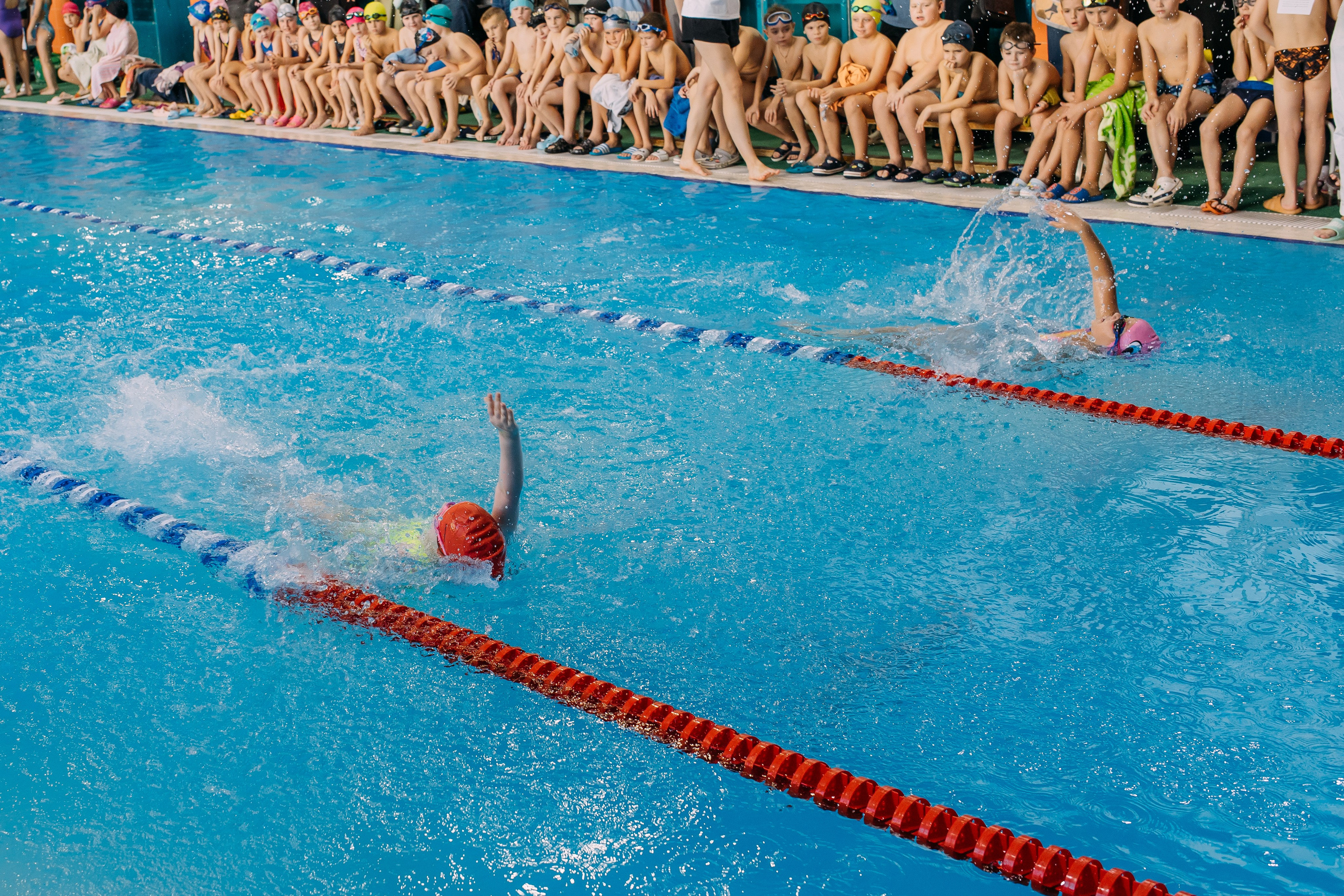 Соревнования по плаванию. Семейный фотограф в Волгограде Надежда Головко