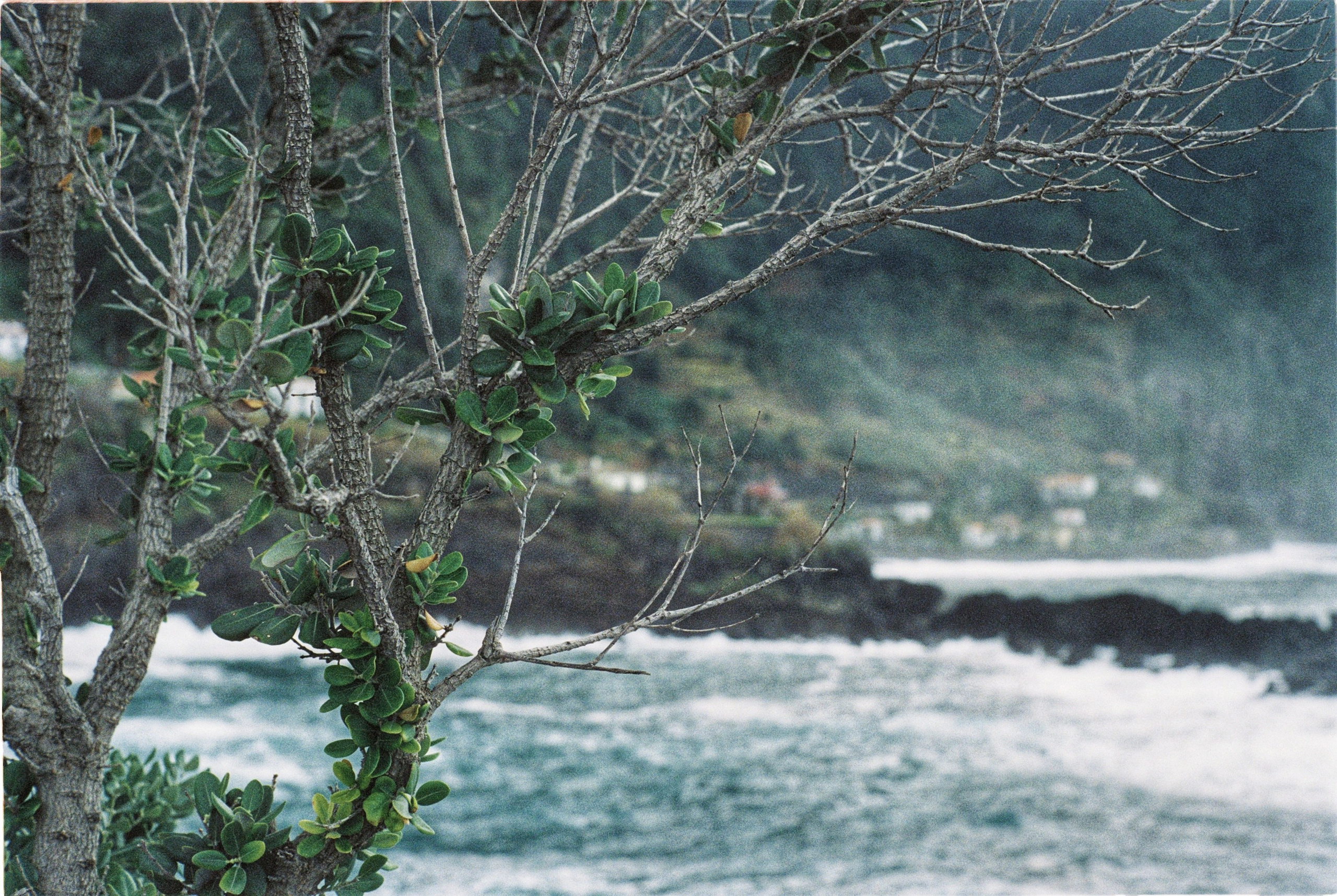 Margarita Rodionova — a contemporary lens-based artist currently working in Cancun, Mexico