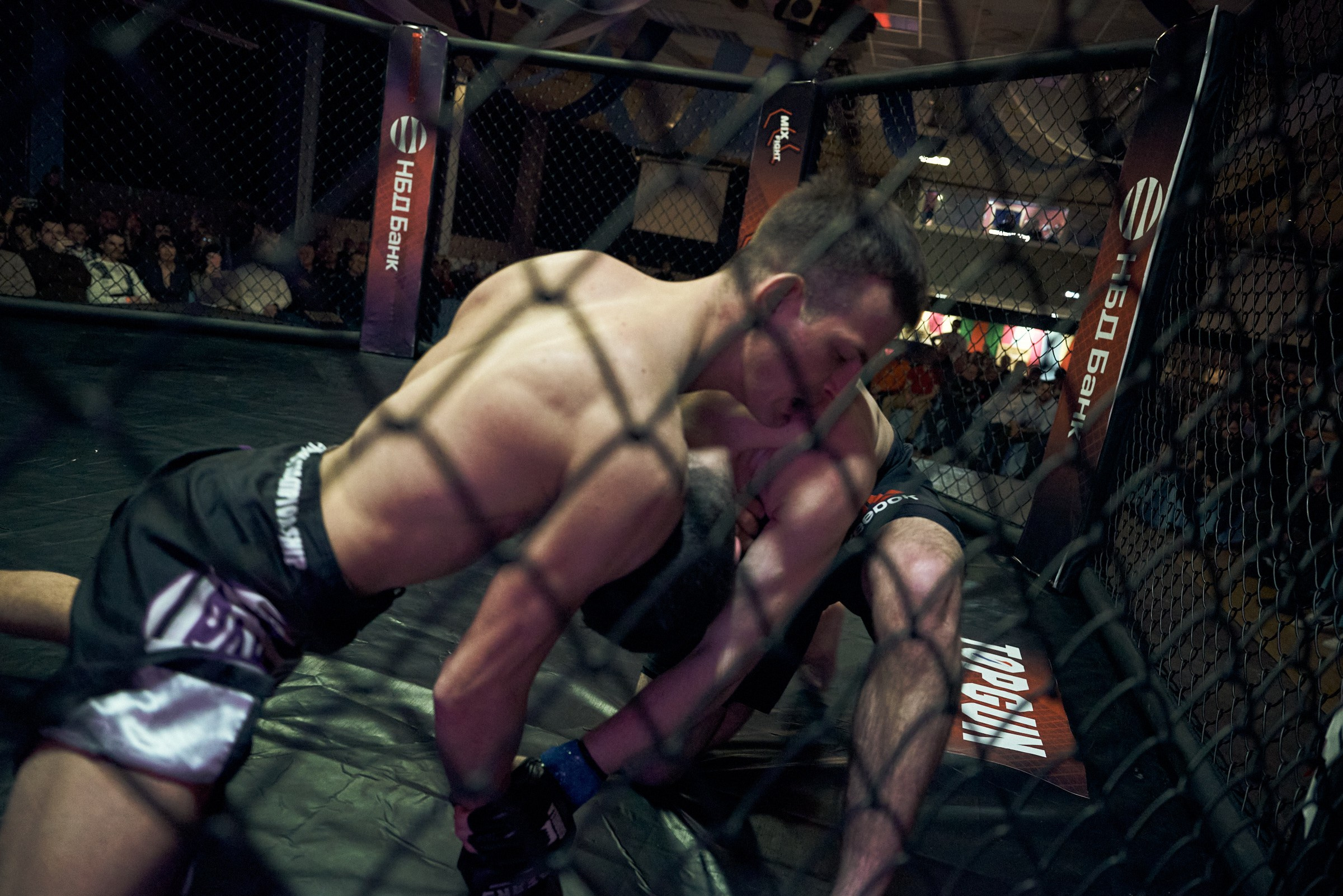 Бои. Маляревич Дмитрий свадебный фотограф