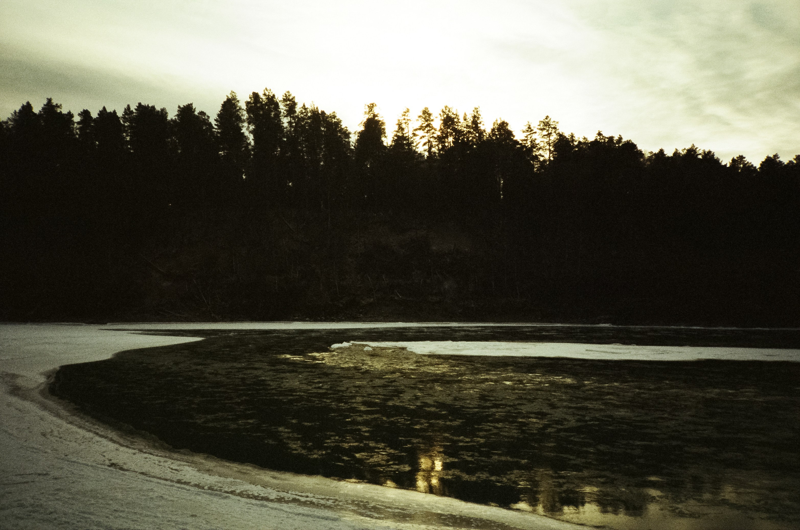 Дорога в сторону Сада Пионов, база Сила Алтая / 15 — 16 декабря 2023 г