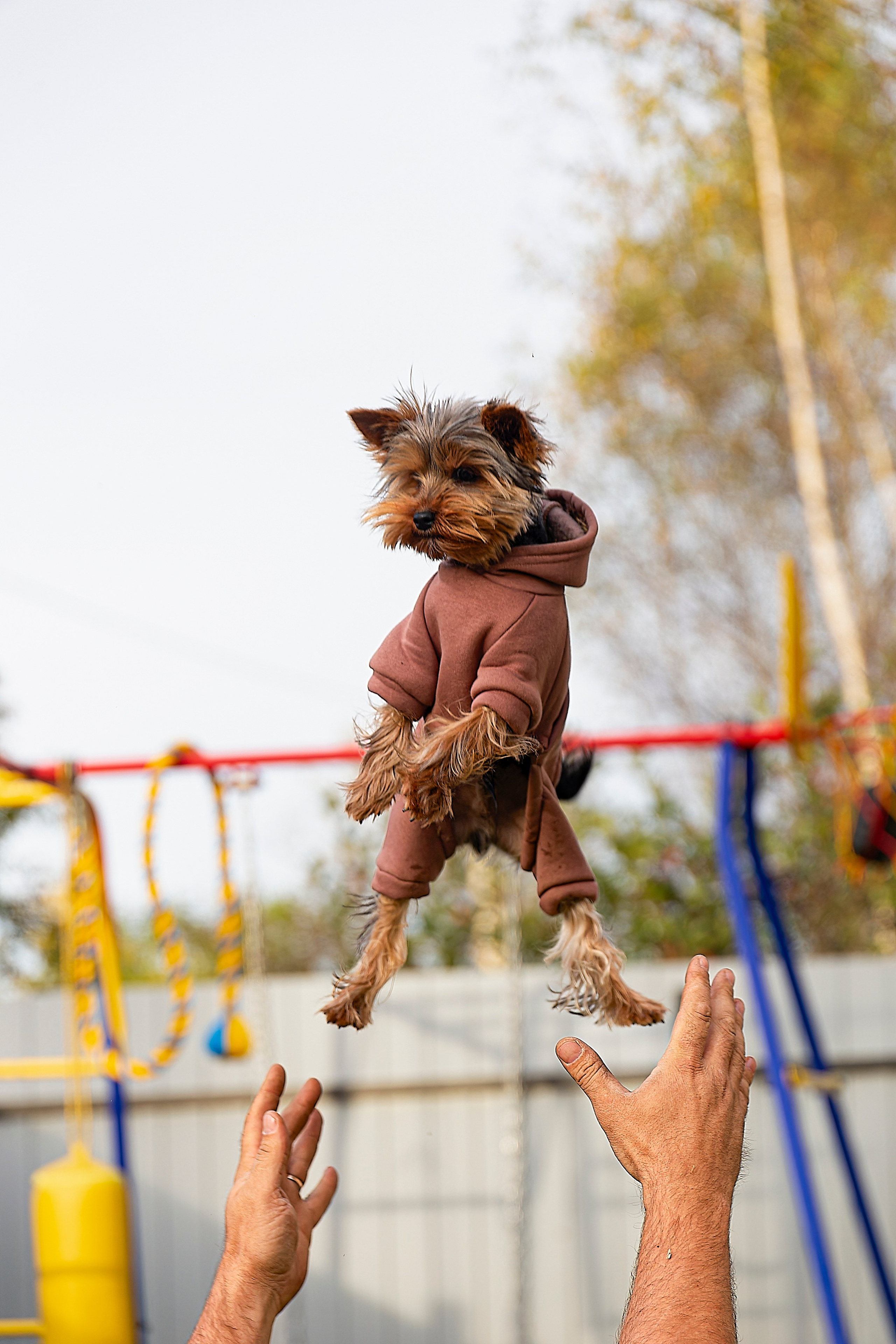 Тофик. Лев Постнов.Фотограф. Нижний Новгород