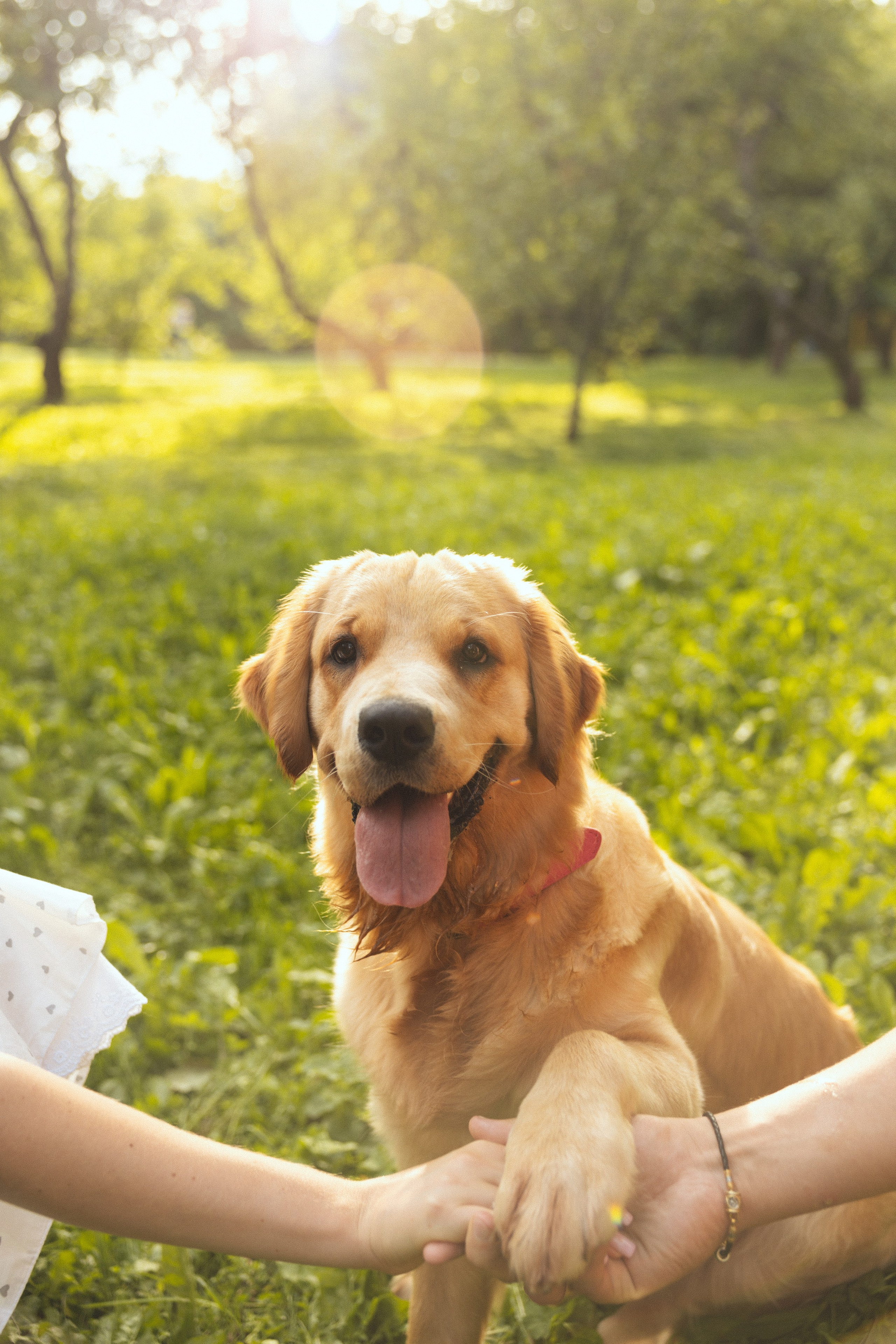 Елизавета и Даниил. Фотограф Дарья Смирнова