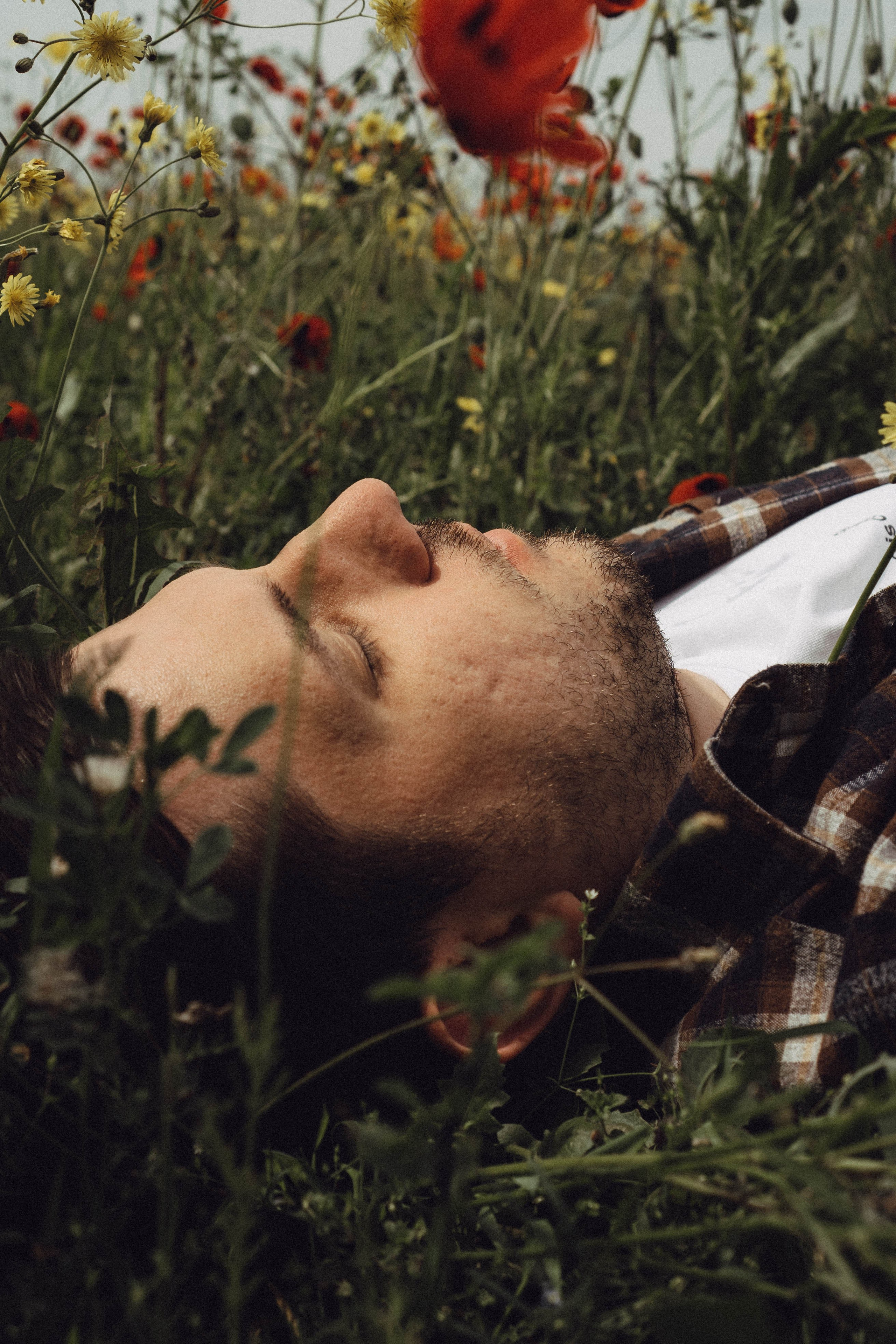 Маки. Профессиональный фотограф, Санкт-Петербург — Виктория Богомолова