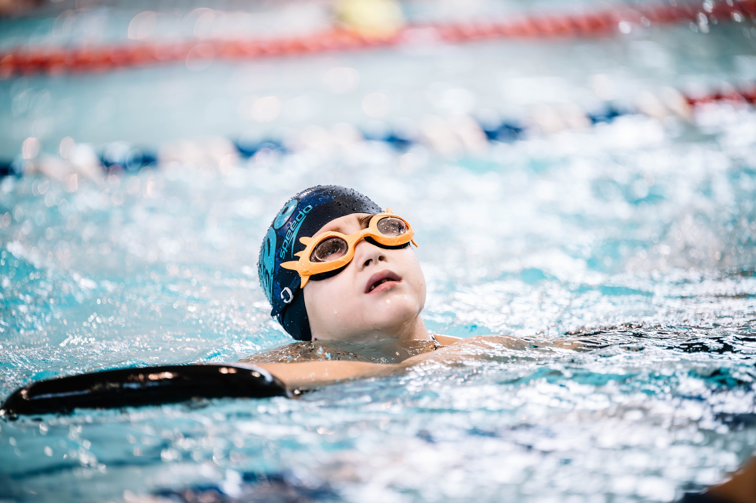 Первый этап кубка плавания, Дельфин. Октябрь, 2024. Спортивный фотограф в Туле и Тульской области. Файсханова Фото Спорт