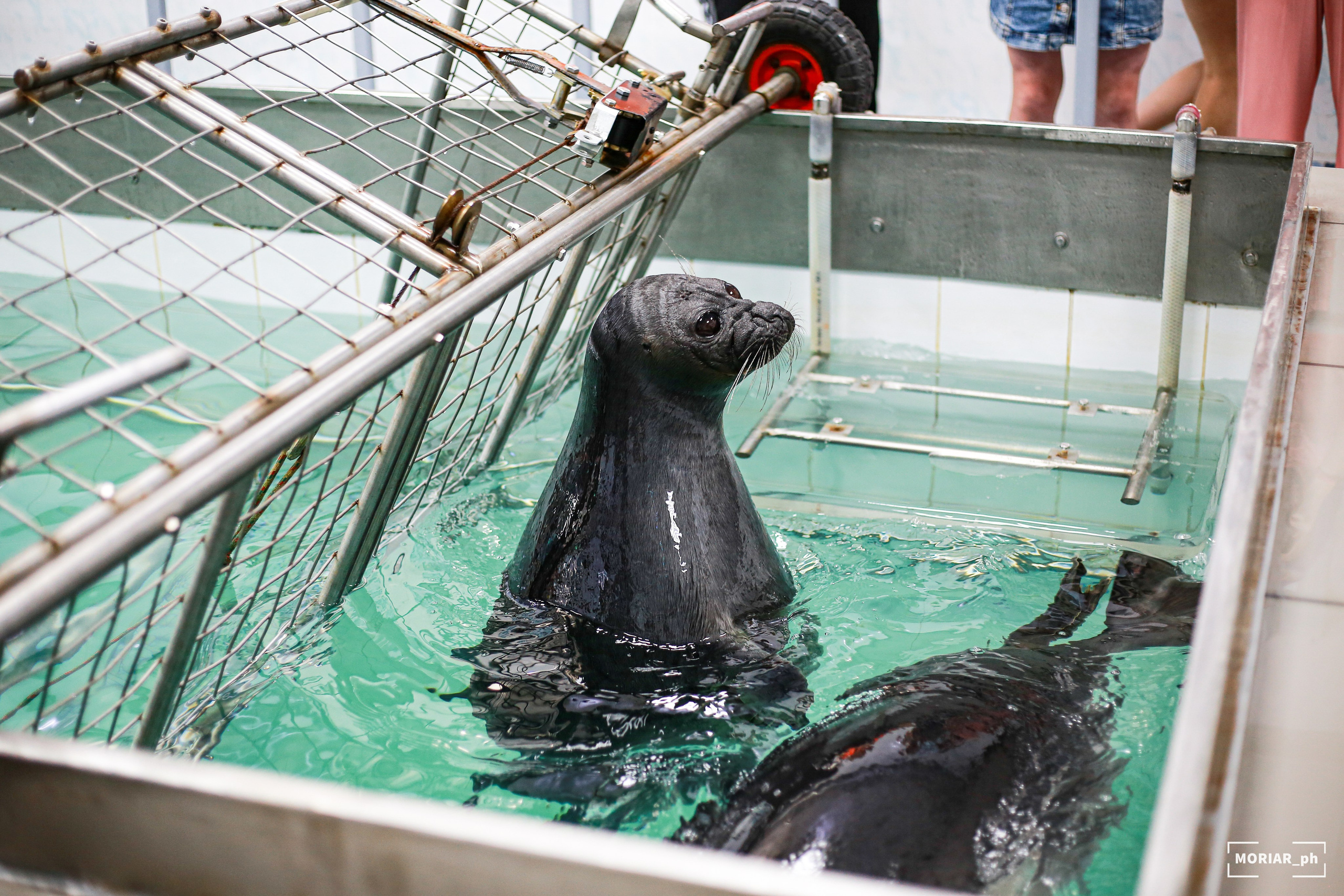 Отпуск. Портретный и репортажный фотограф в Кемерово Алексеева Анастасия
