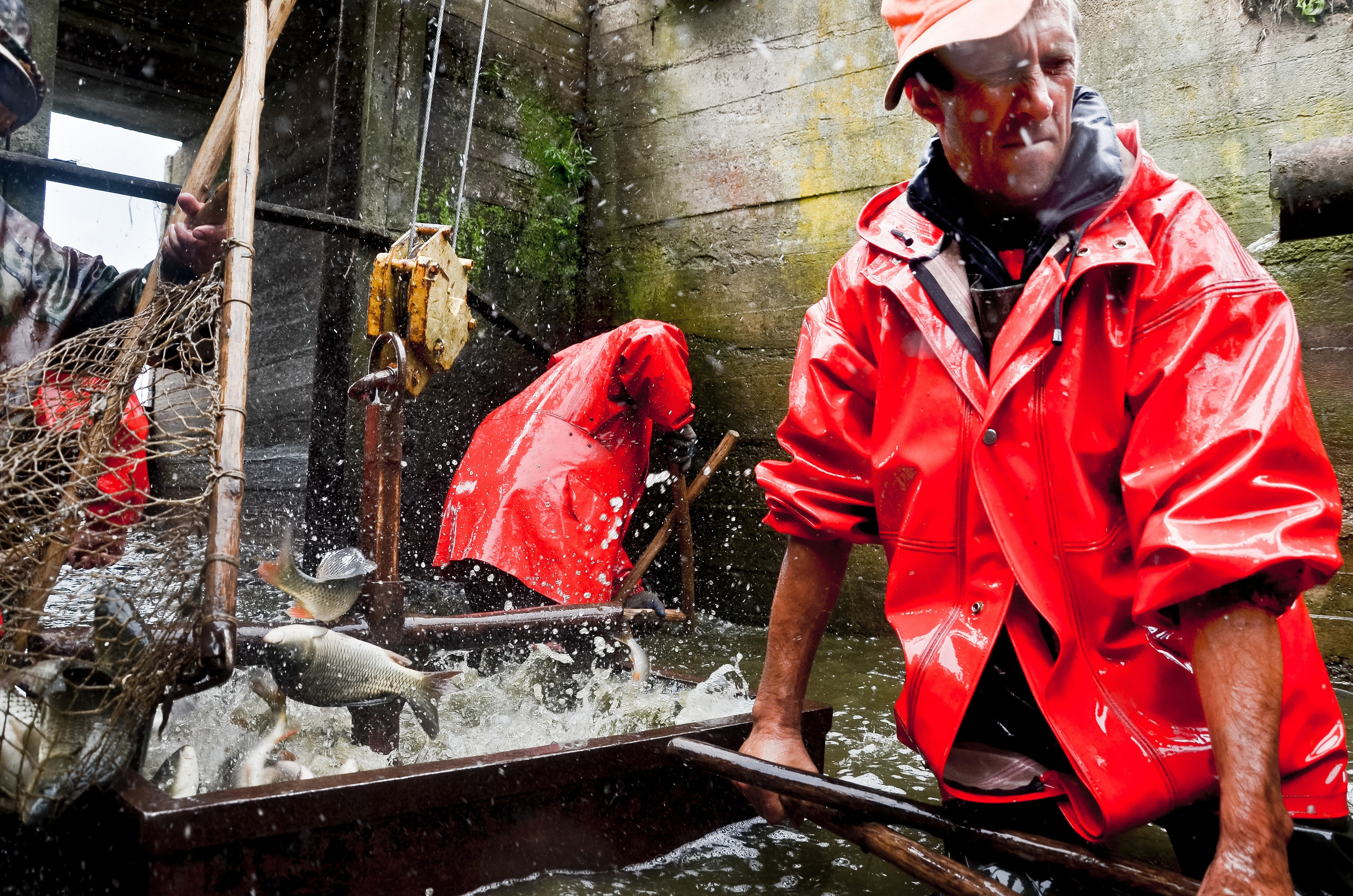 ФОТОЖУРНАЛИСТИКА. Репортажный фотограф в Минске. Алексей Матюшков