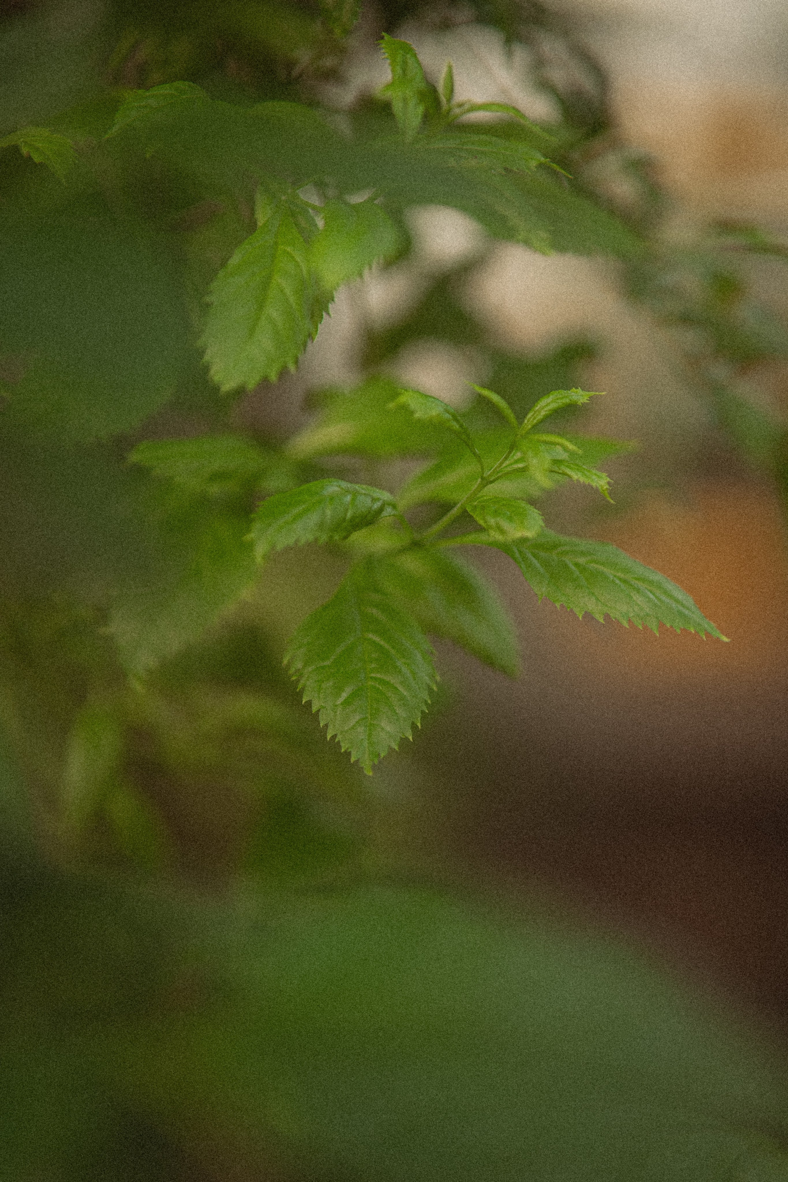Ботанический сад. Фотограф Мария Зайчик