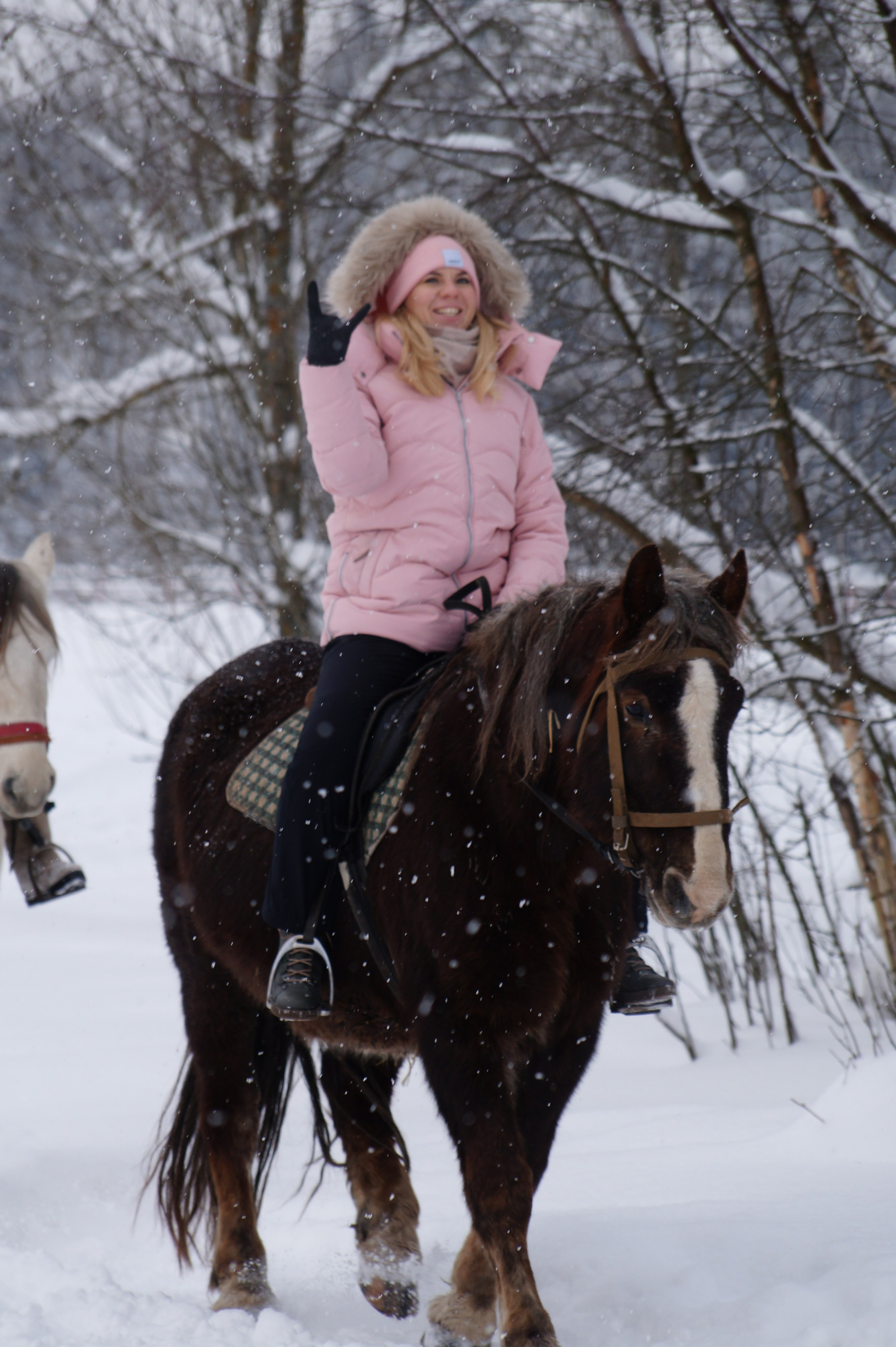 Лошадинг | 11.01.2026. Галерея Фантим