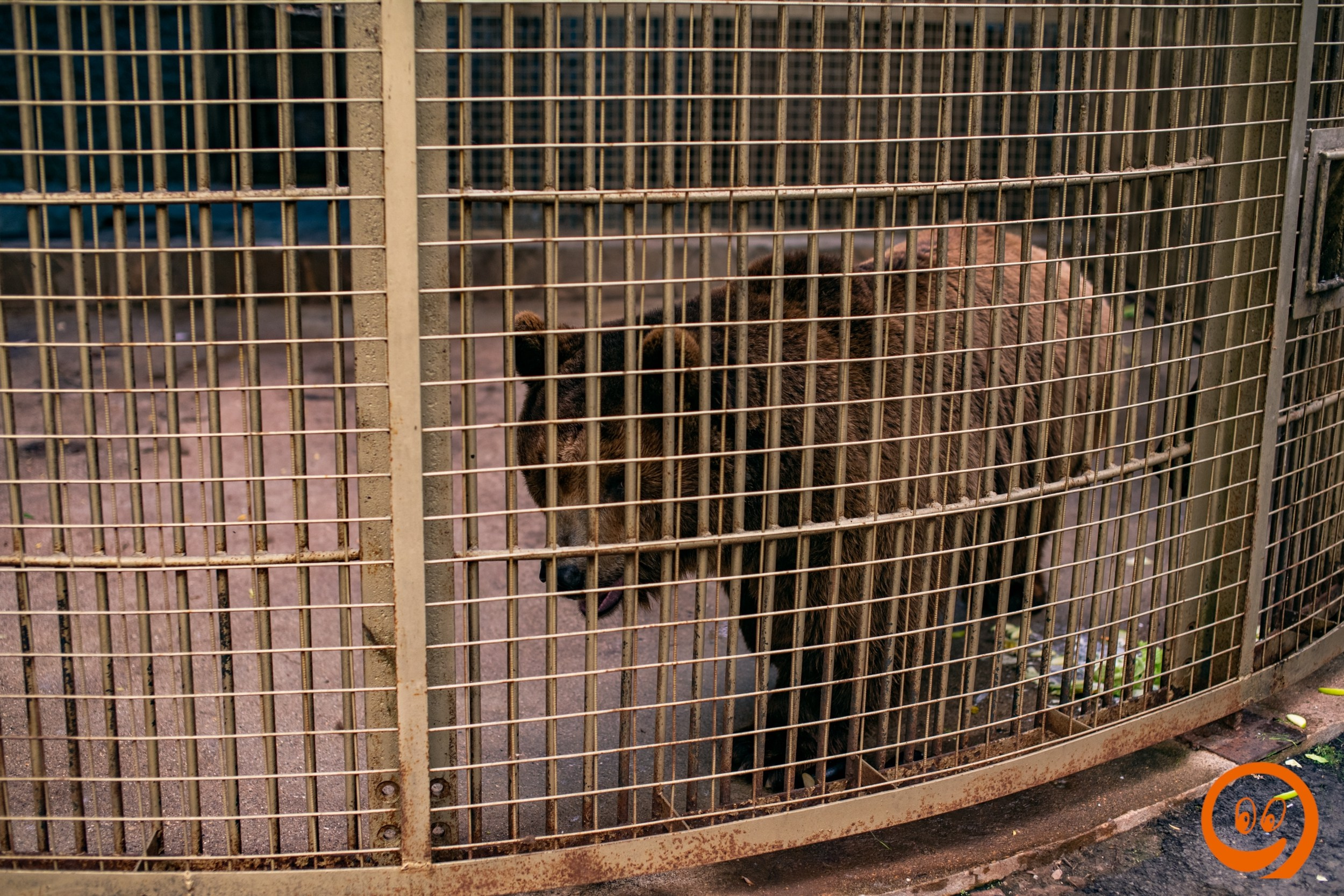 Шашлыки | 12.06.25. Галерея Фантим