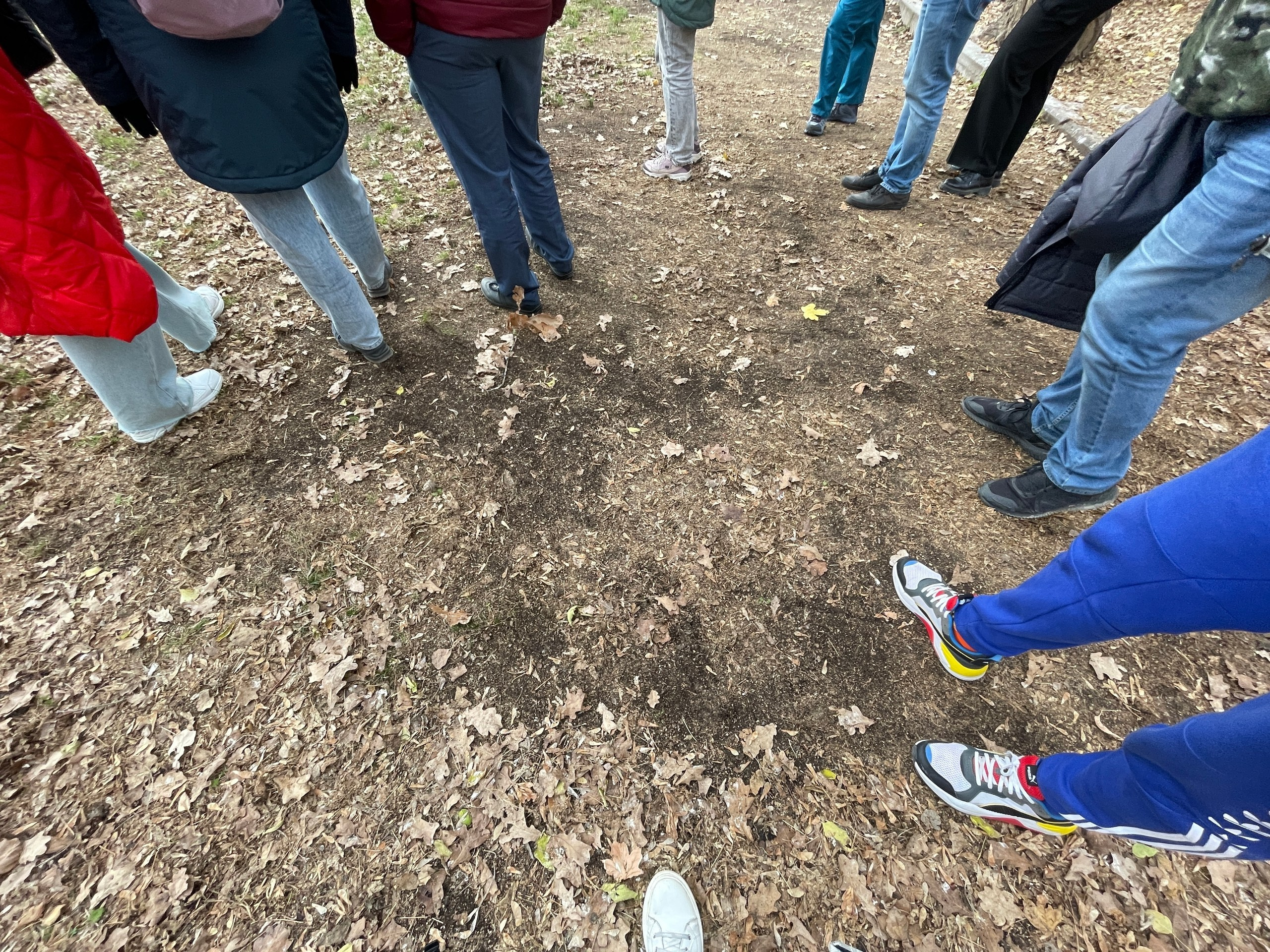 Армения | 16-19.11.2023. Галерея Фантим