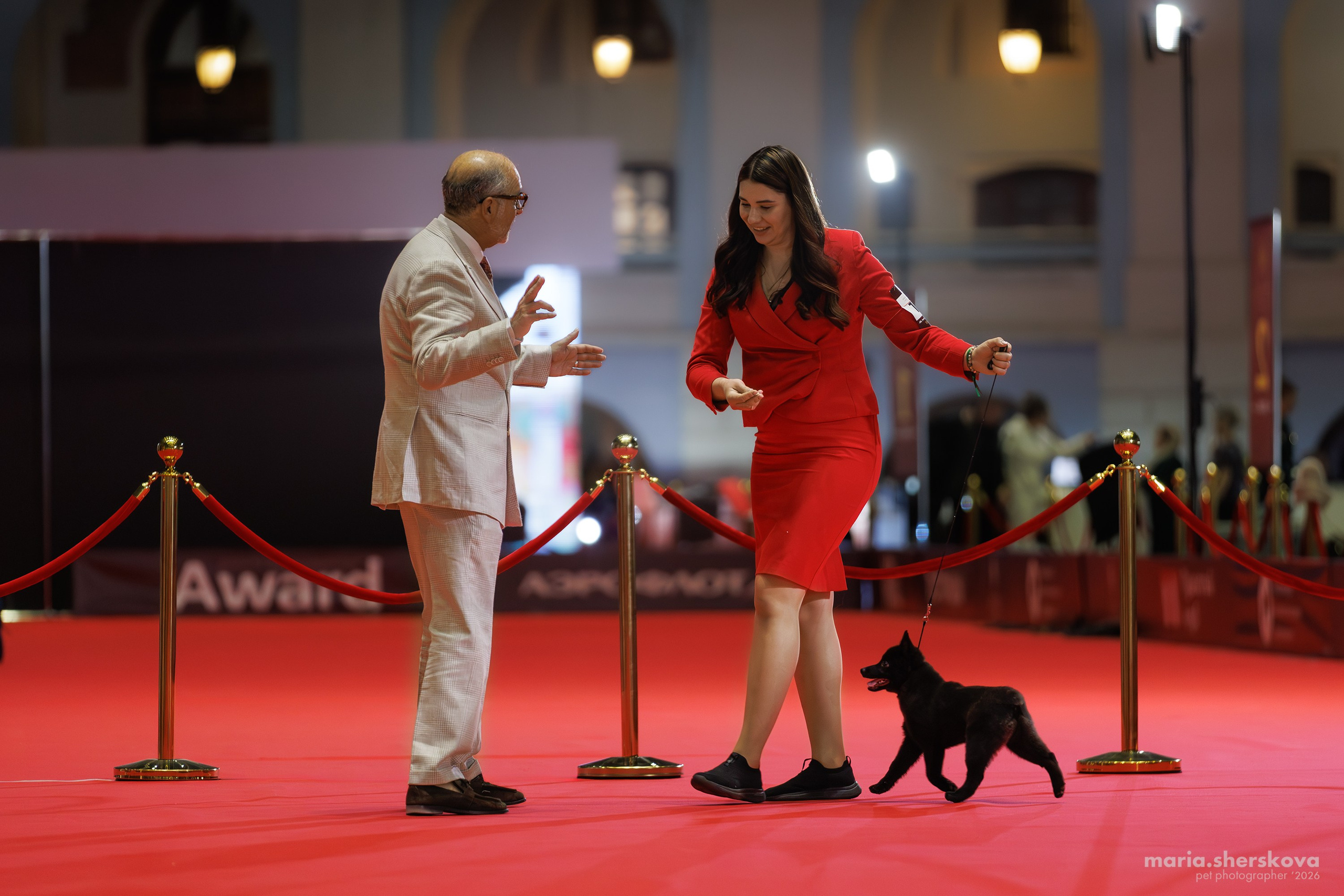 Выставки. Фотограф-анималист в Калуге Мария Шерскова