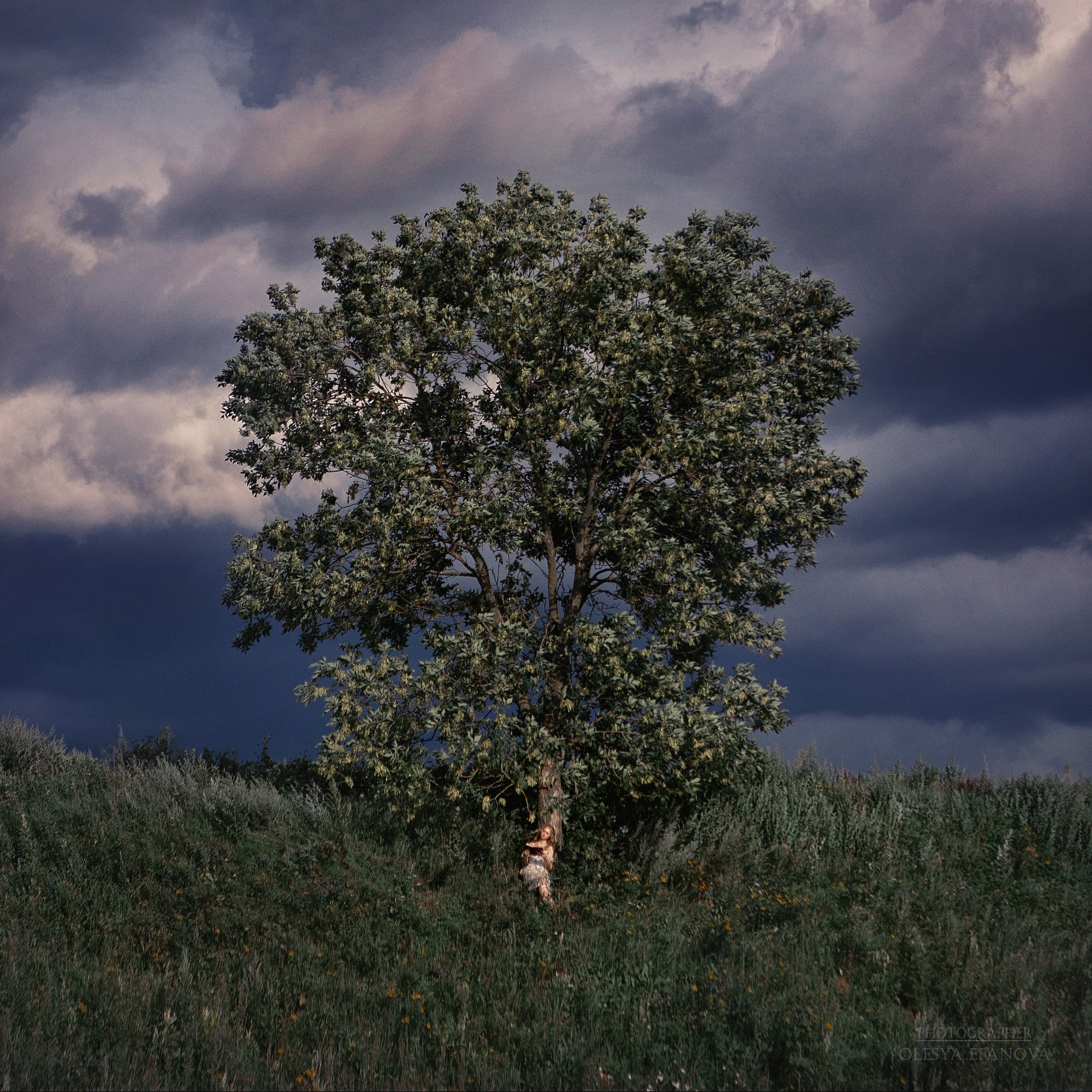 Алиса в стране чудес. Олеся Ефанова фотограф Иваново, Тейково и Плёс
