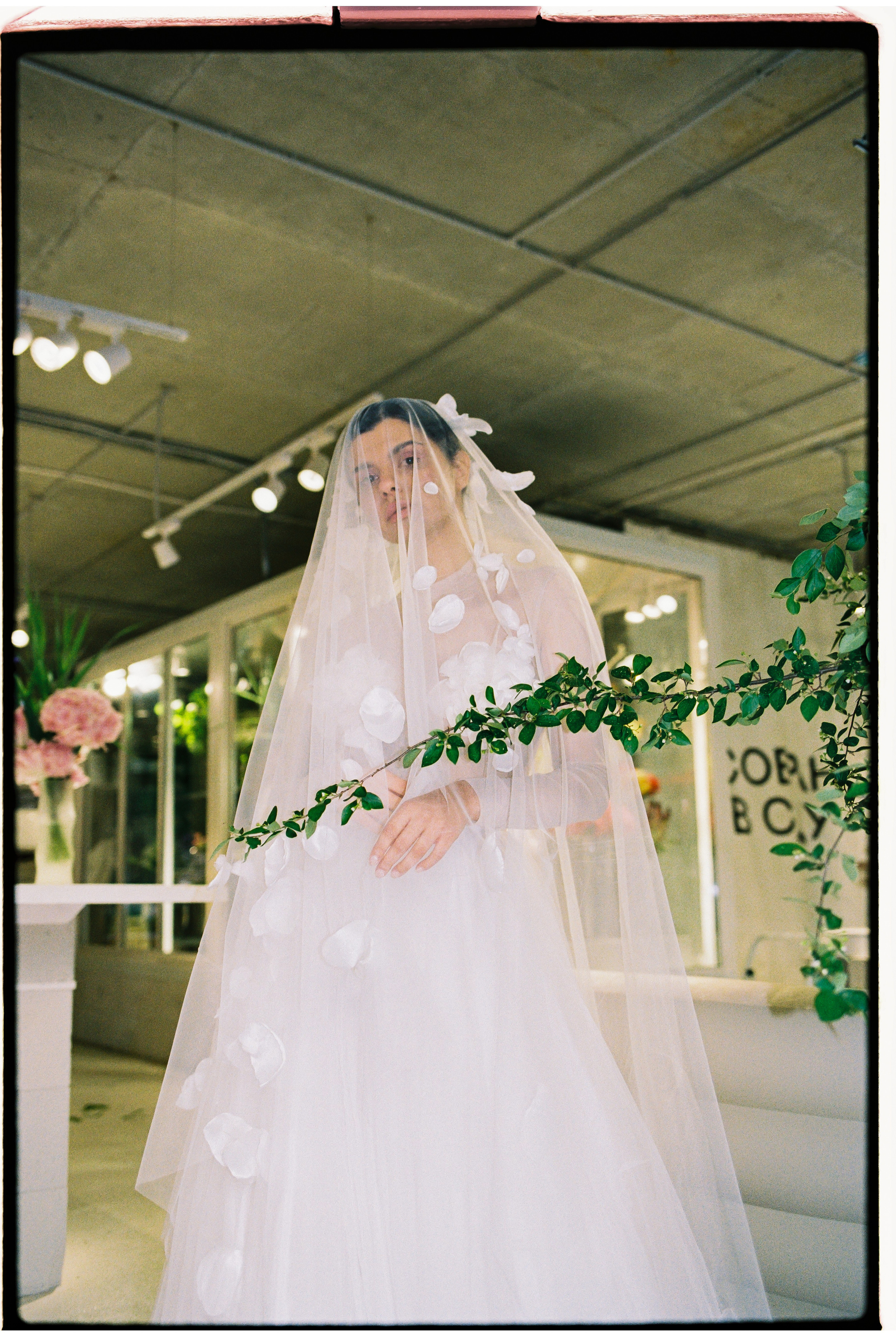 Собран в Саду. Фотограф Андрей Куськало