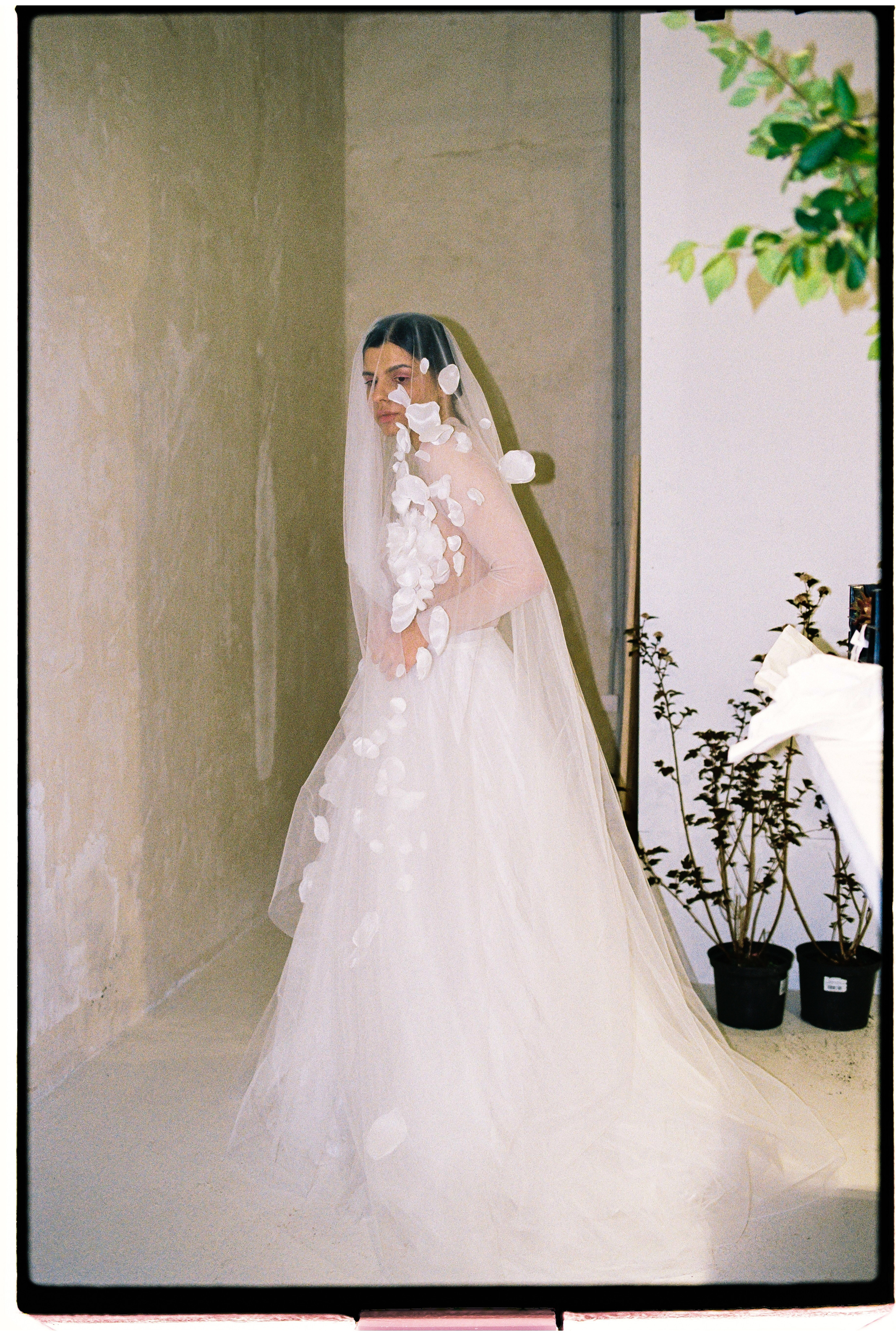 Собран в Саду. Фотограф Андрей Куськало