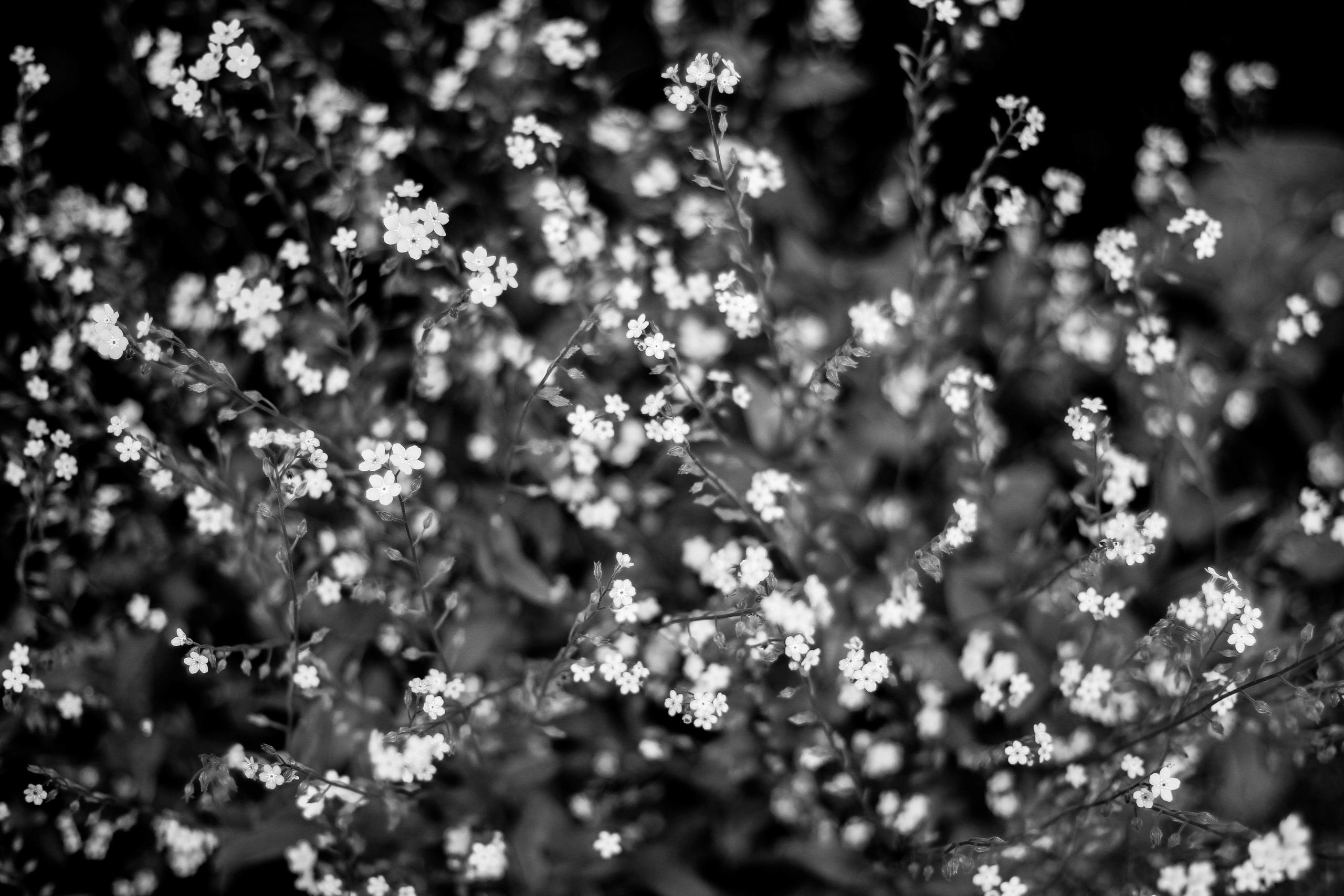 Разное. Фотограф Анастасия Федорова  Санкт-Петербург