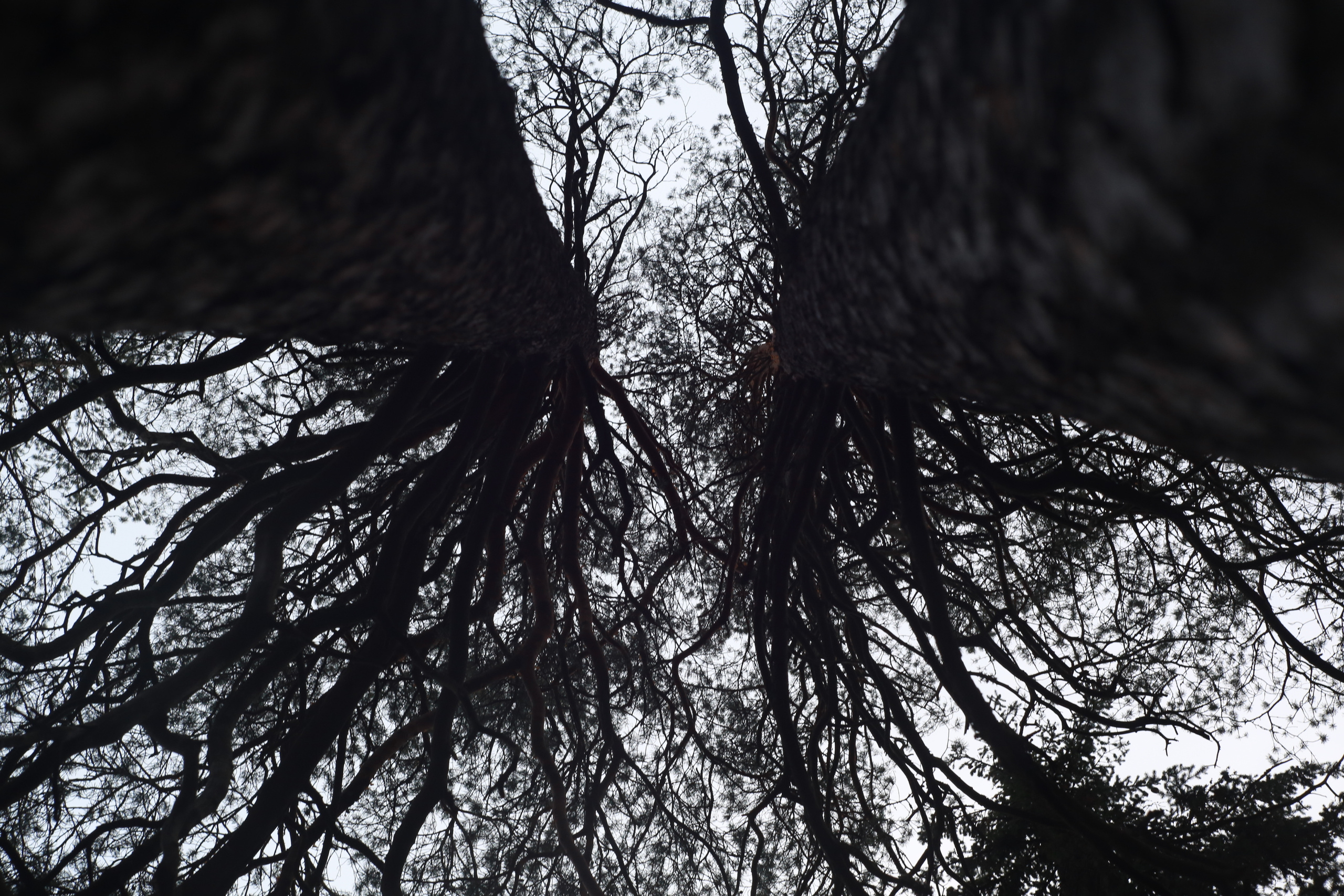 Разное. Фотограф Анастасия Федорова  Санкт-Петербург