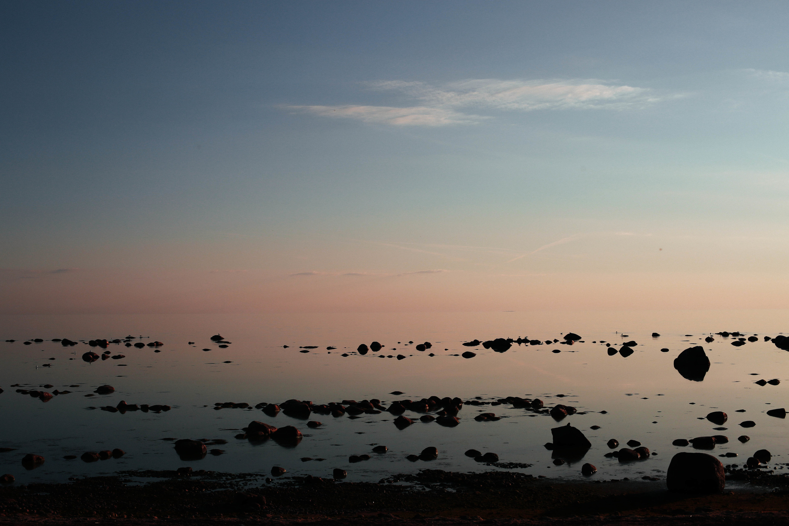 Разное. Фотограф Анастасия Федорова  Санкт-Петербург