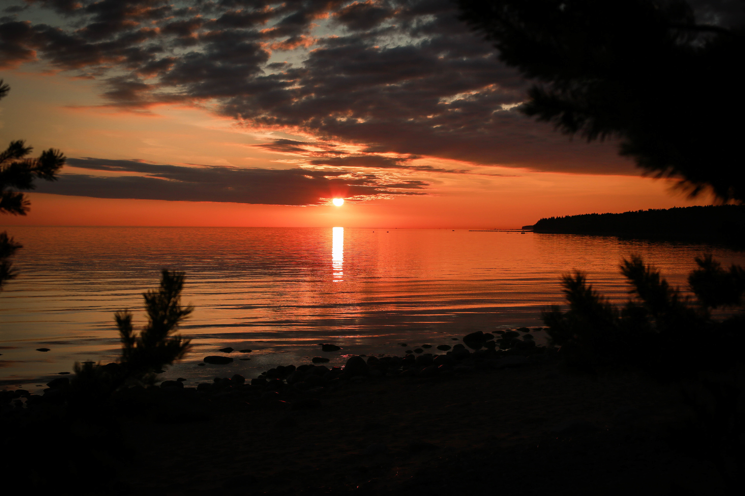 Разное. Фотограф Анастасия Федорова  Санкт-Петербург