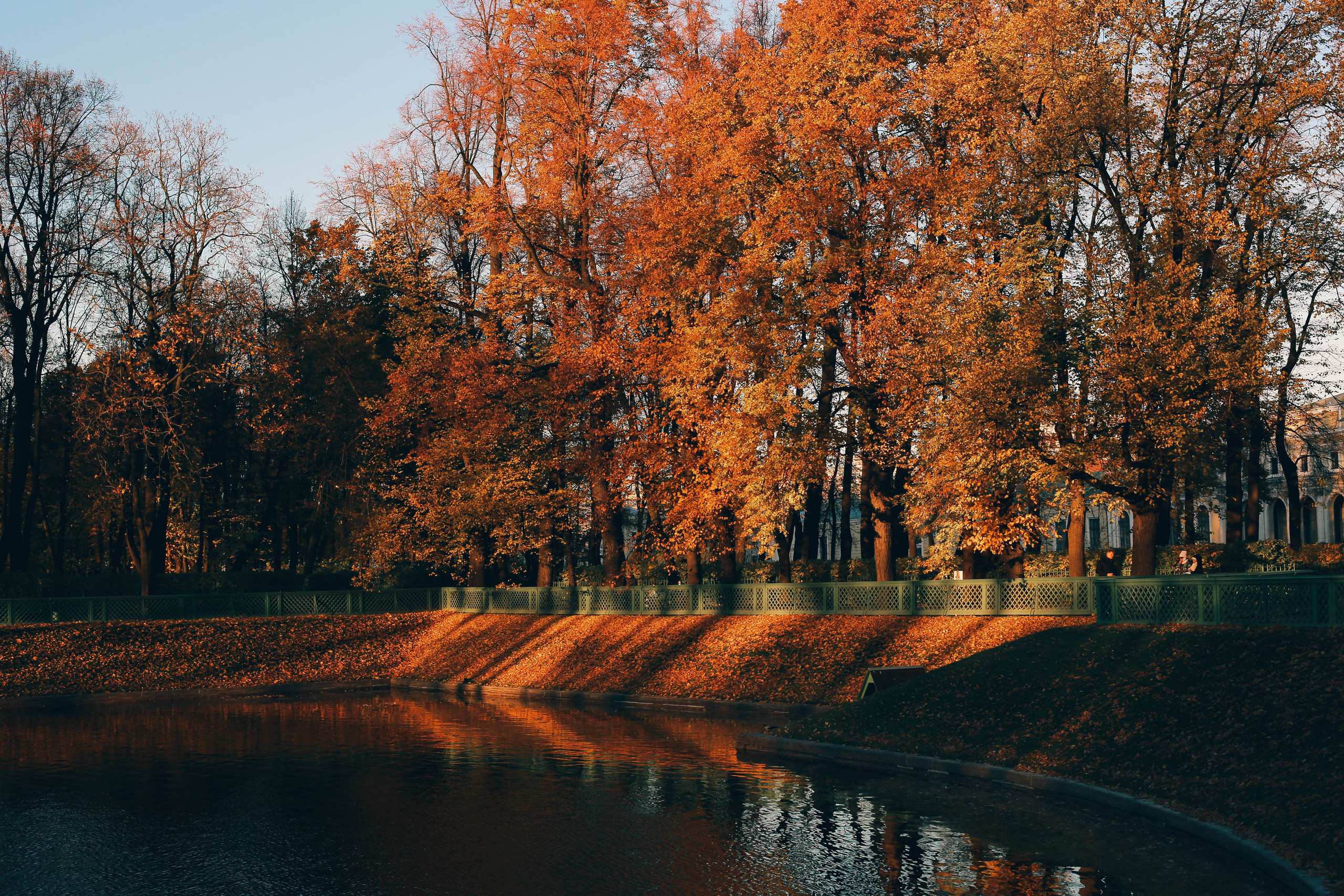 Разное. Фотограф Анастасия Федорова  Санкт-Петербург