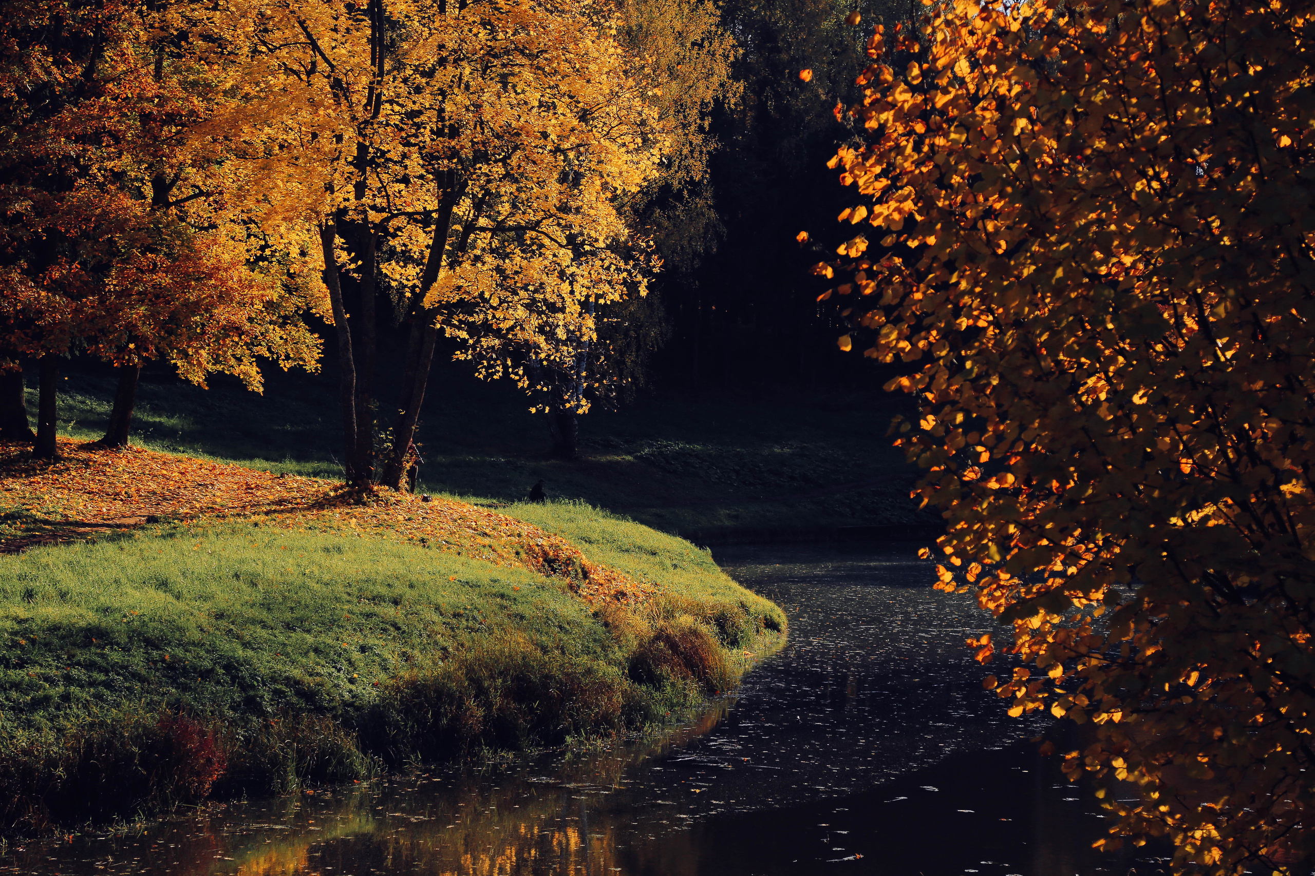 Разное. Фотограф Анастасия Федорова  Санкт-Петербург