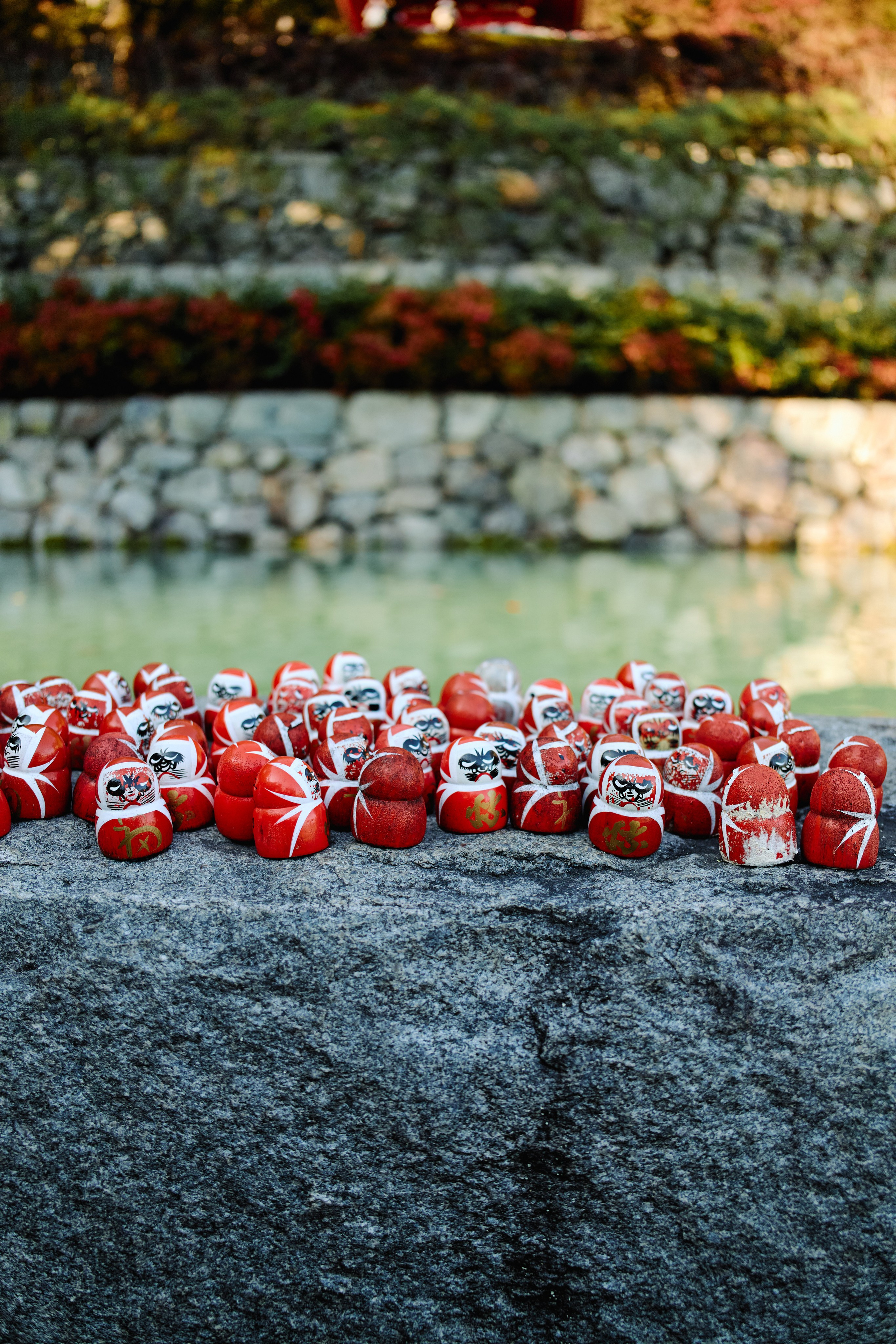 Япония. Профессиональный Фотограф во Владимире, в Москве и в Суздале — Полина Романычева