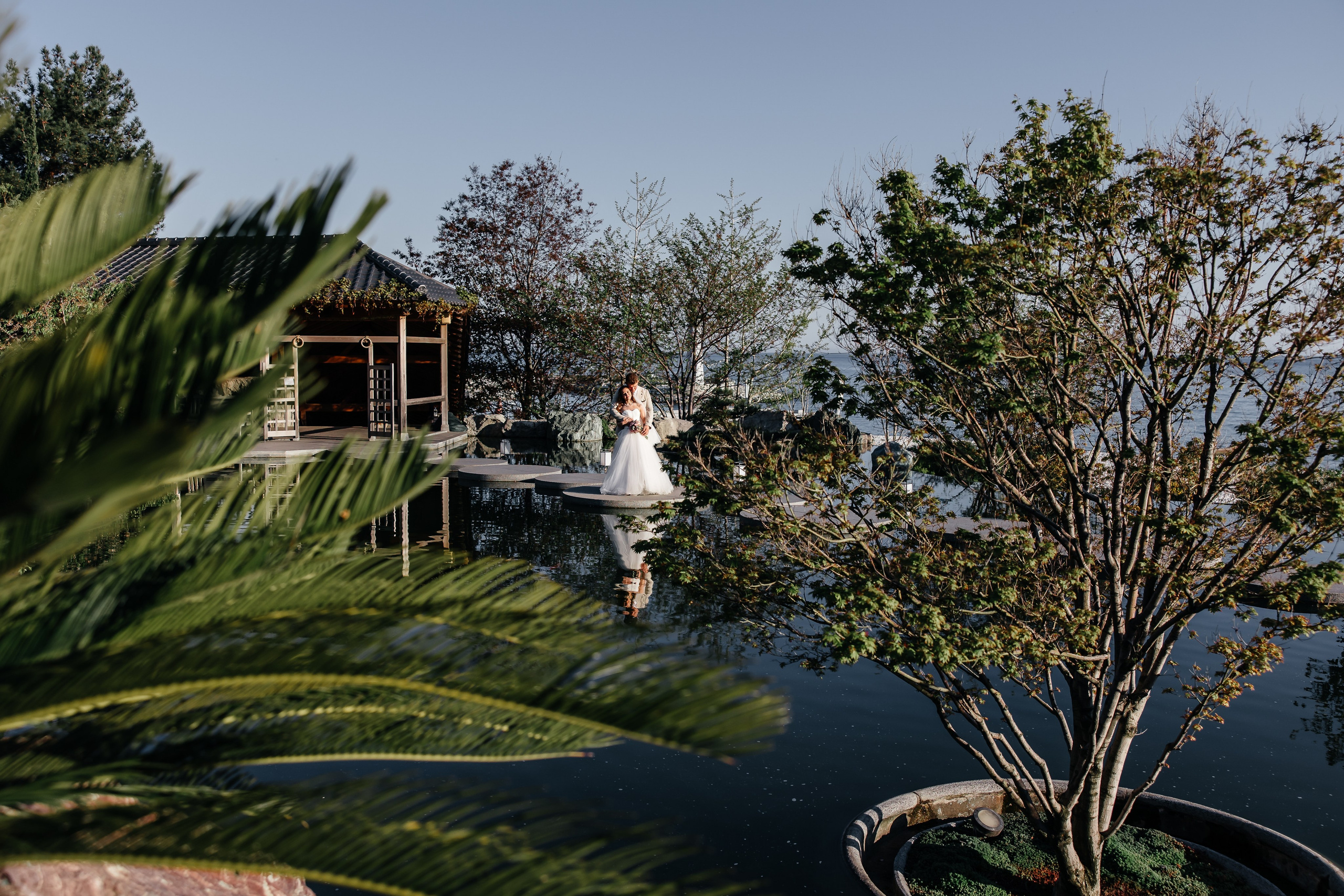 Сакура в Японском саду. Анонс свадьбы для Никиты и Марины. Свадебный фотограф в Крыму и Севастополе Ольга Баскакова