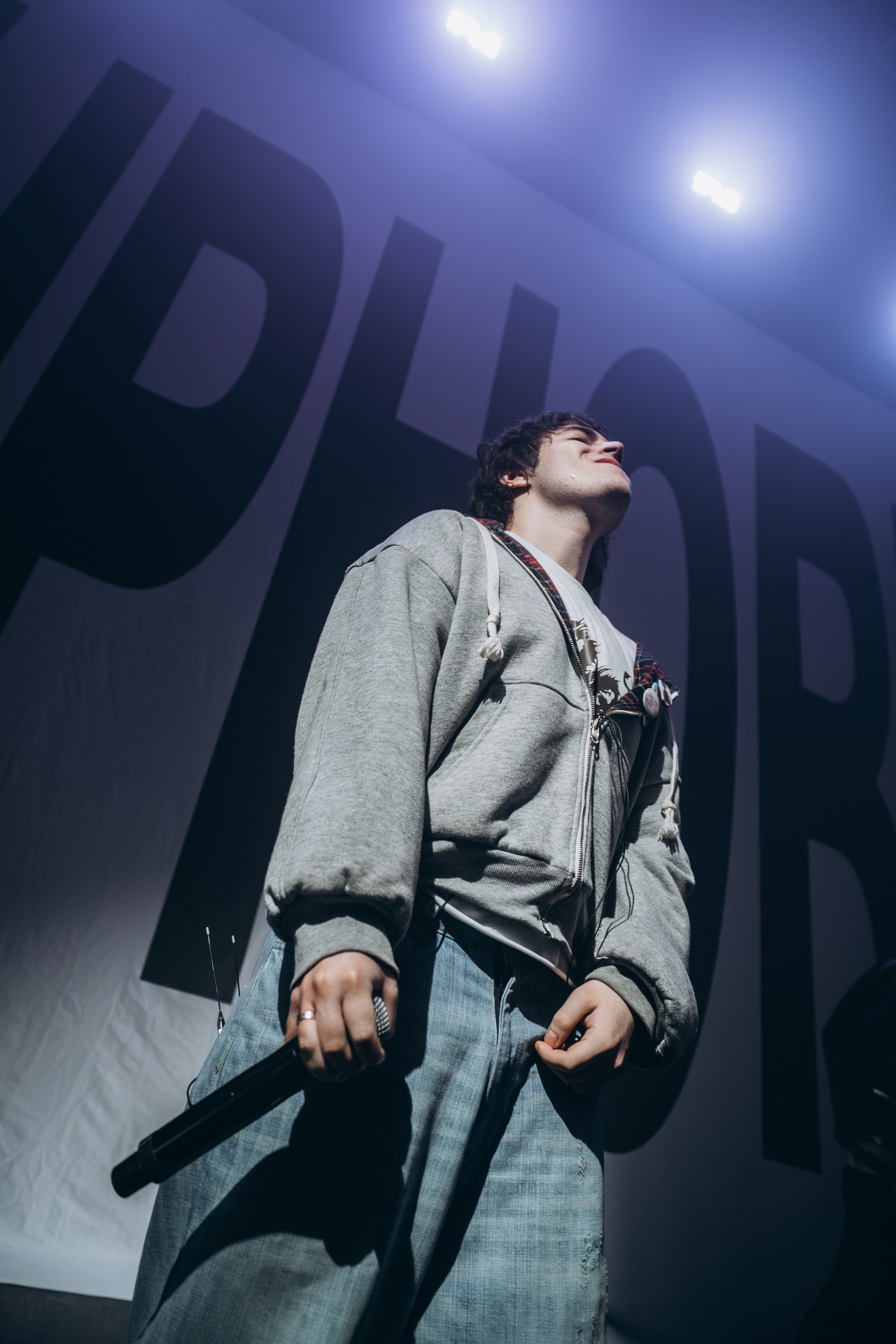 SALUKI. Фотограф Санкт-Петербурга