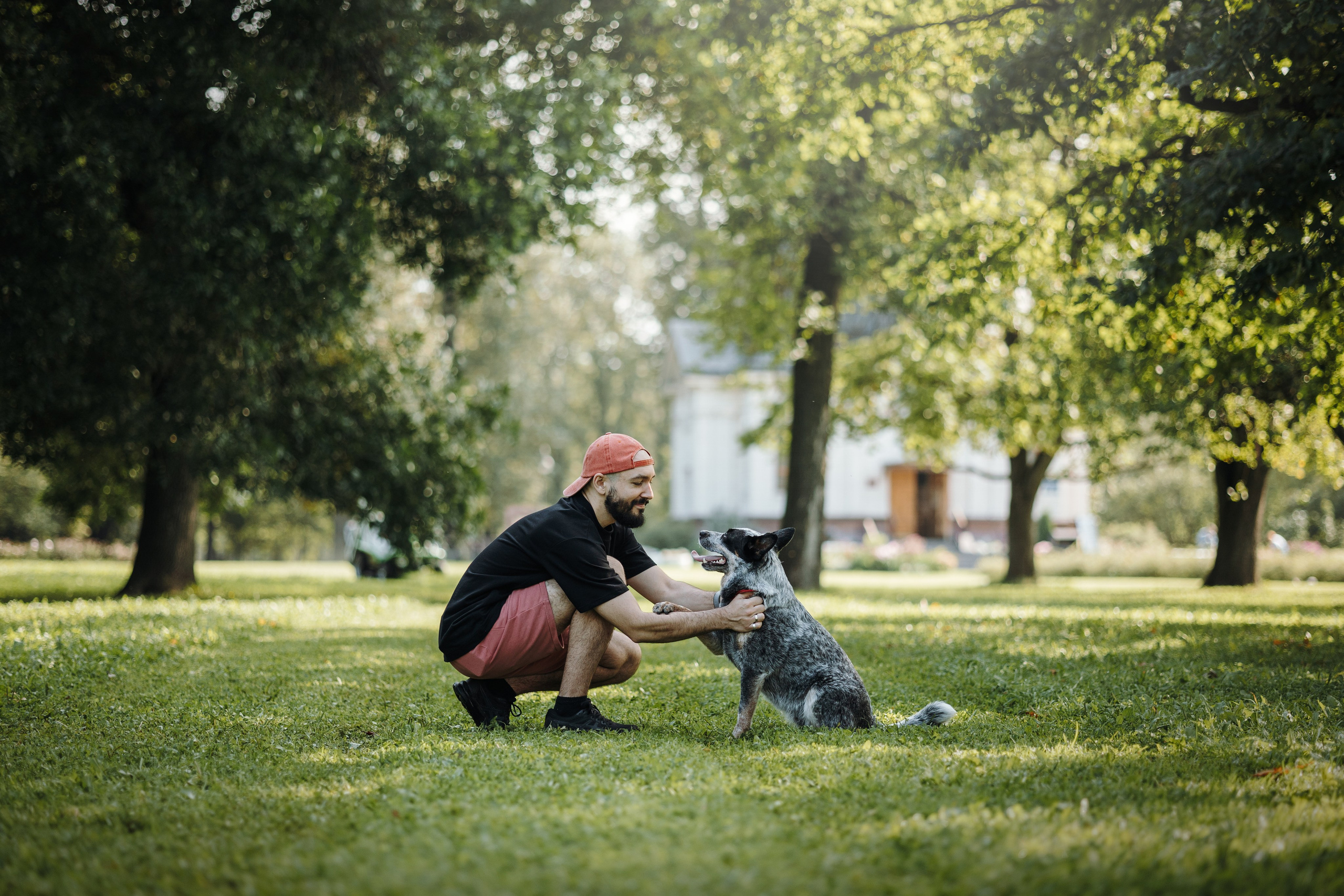 Кода и ее семья. Фотограф — Анималист | Санкт-Петербург