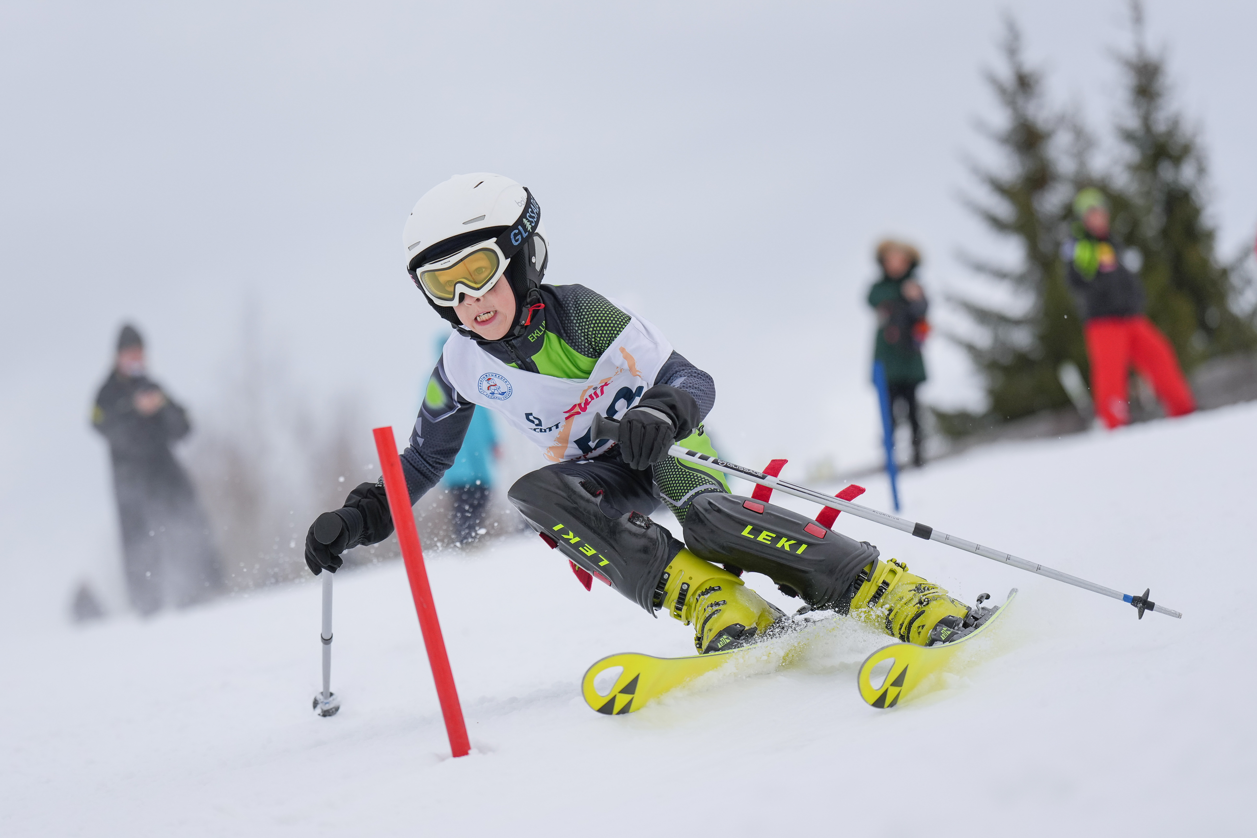 SL (Slalom) - Слалом. Соревнования по горнолыжному спорту. Московская область, Шуколово