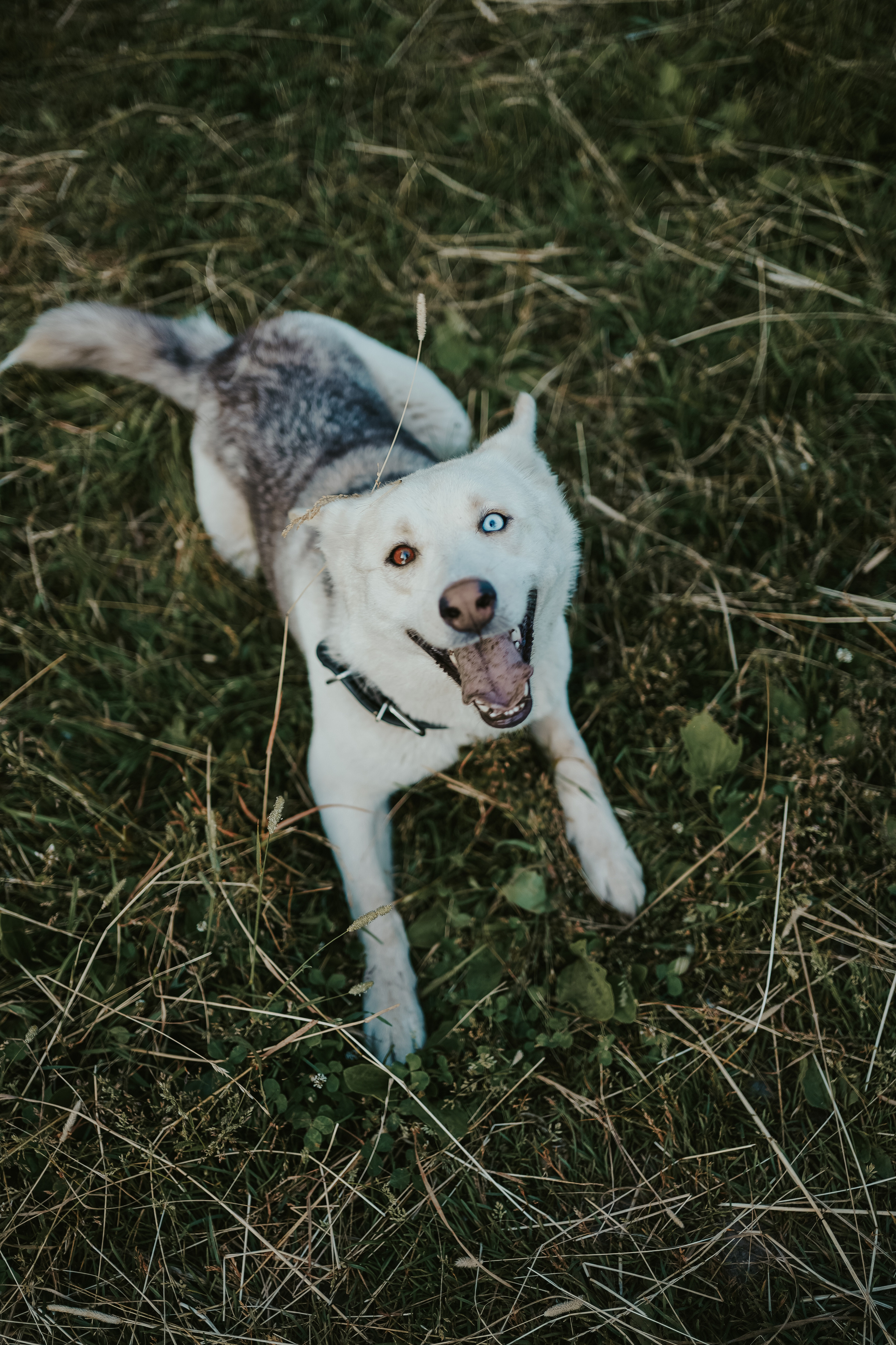Николай. Портретный и семейный фотограф в Москве — Дарья Рыбкина