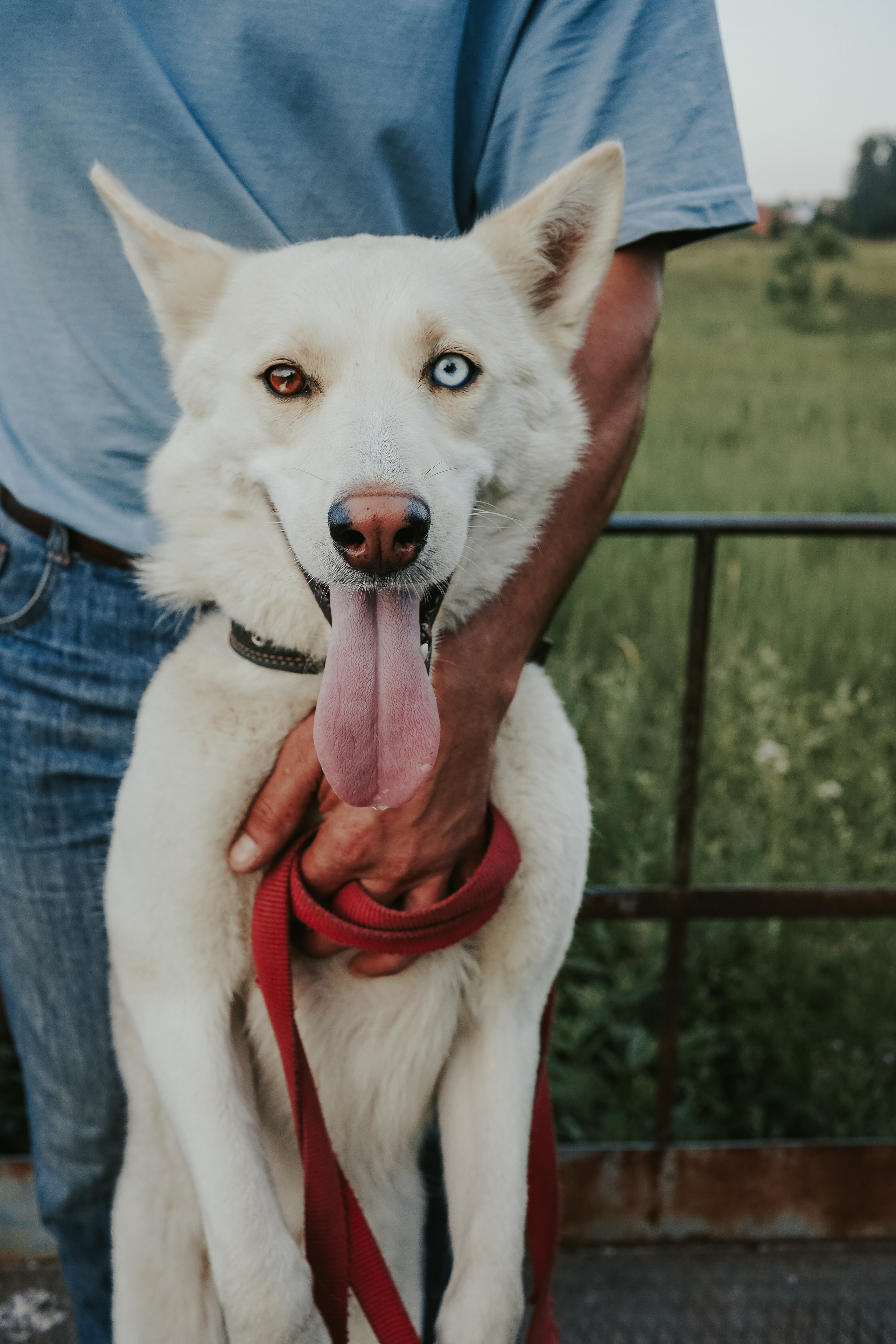 Николай. Портретный и семейный фотограф в Москве — Дарья Рыбкина