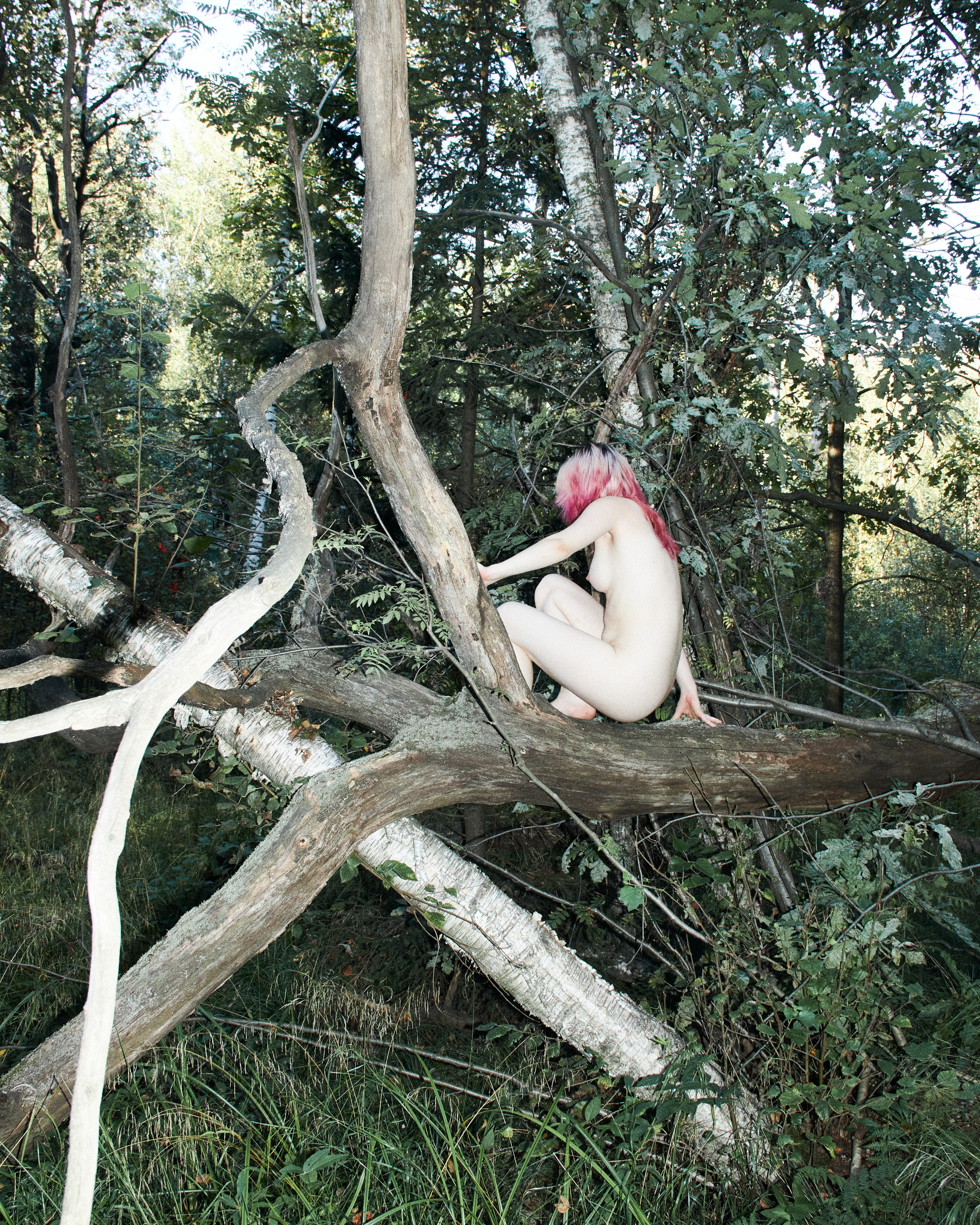 ALENA. Andrew Valmus