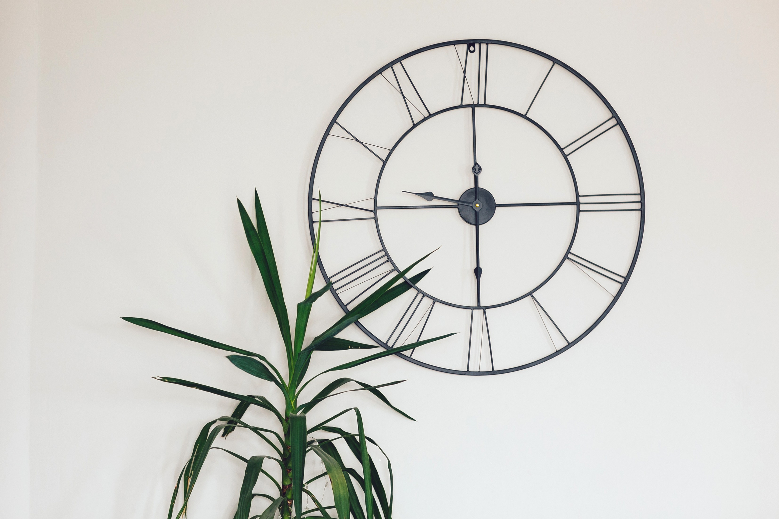 Саша и Саша. Фотограф Георгий Нигматулин