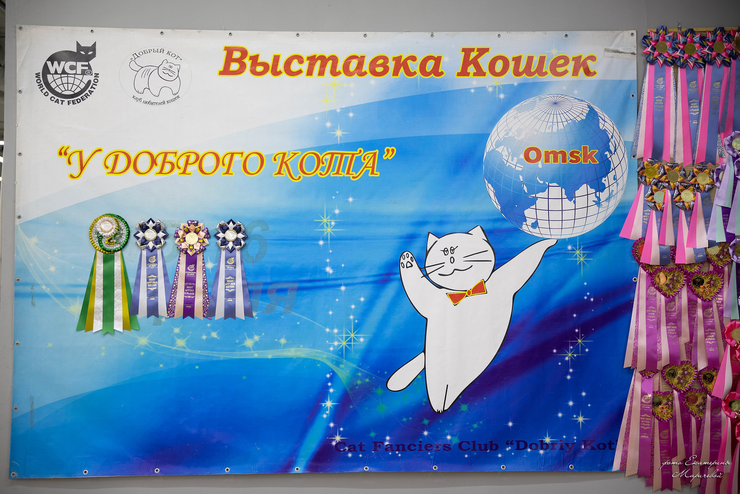 11–12 апреля — Интершоу — «Звездная Галактика Доброго Кота». Работаю со стендом. Фотограф-анималист в Омске Екатерина Маричева