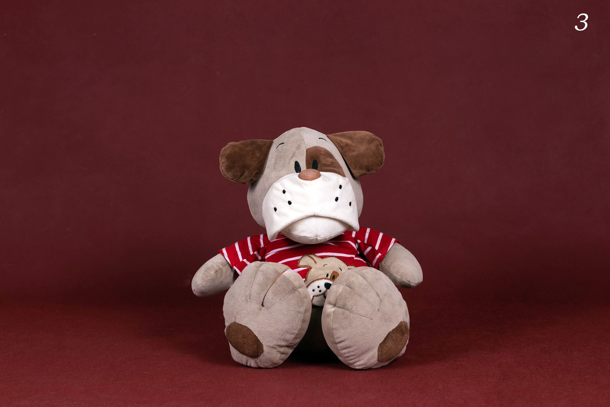 Фоны. Фотограф-анималист в Омске Екатерина Маричева