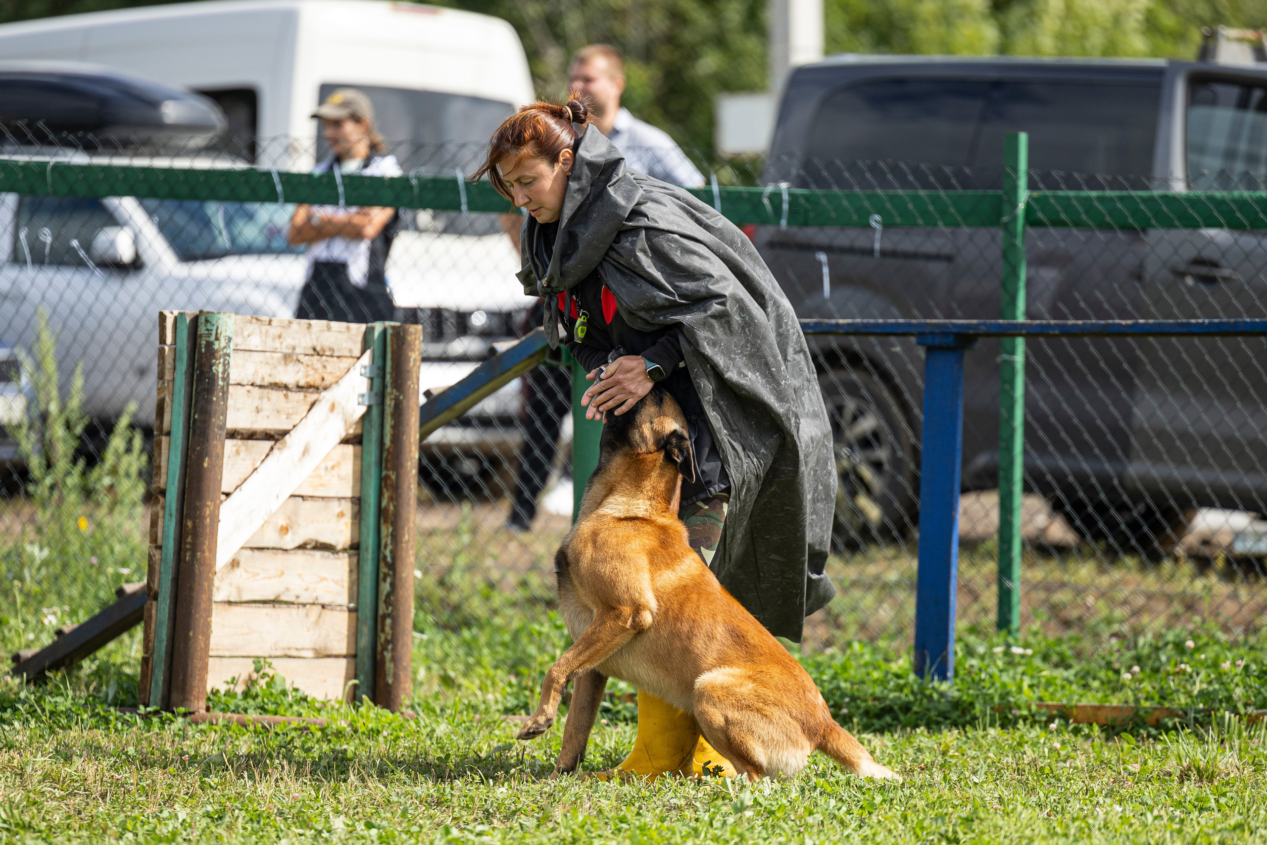 Соревнования по Мондьорингу г. Вологда 10-11.08.2024. Фотограф-анималист Анна Маринич