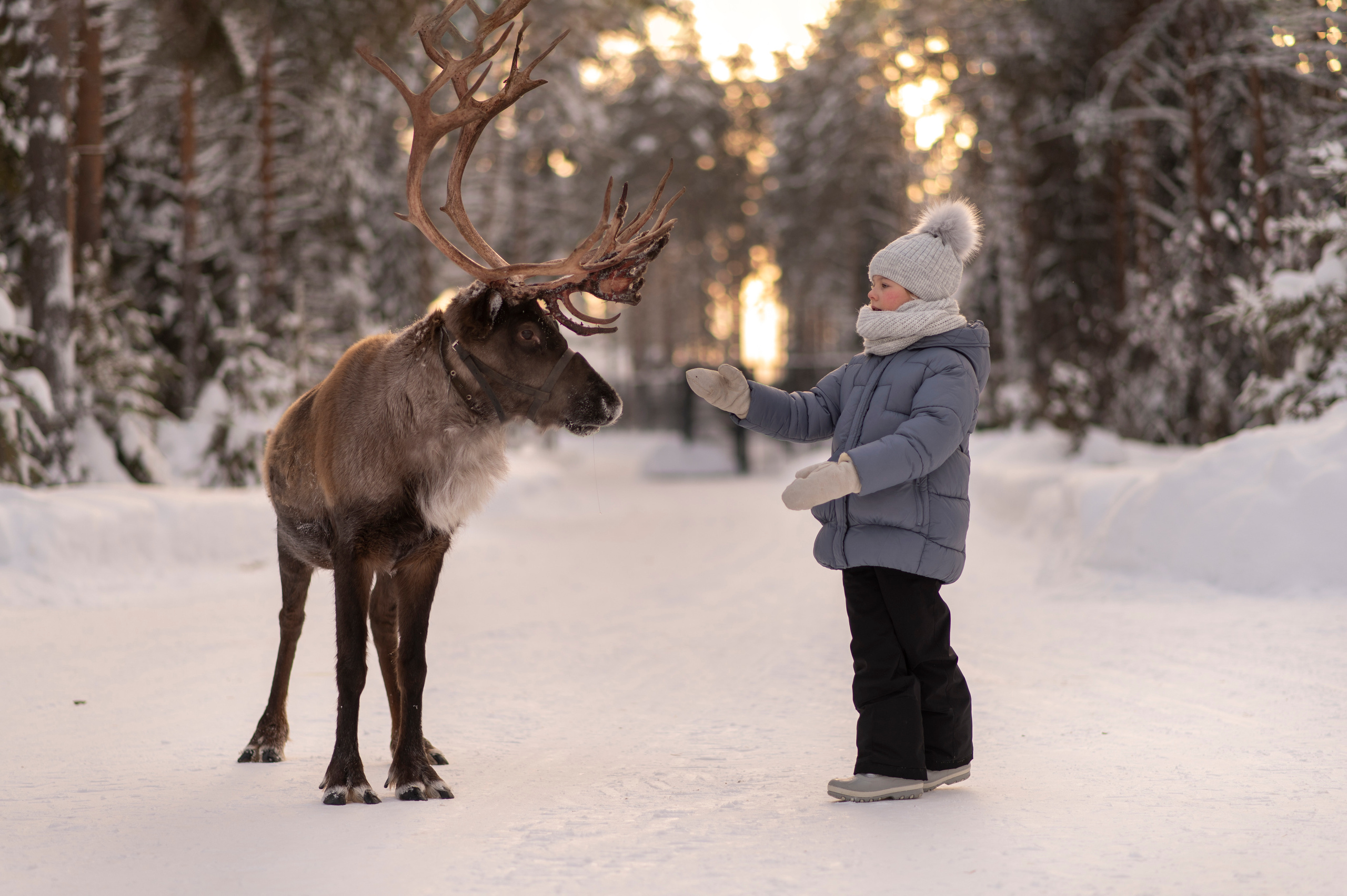 Съёмка детей с животными. Семейный и детский фотограф в Москве Анна Оськина