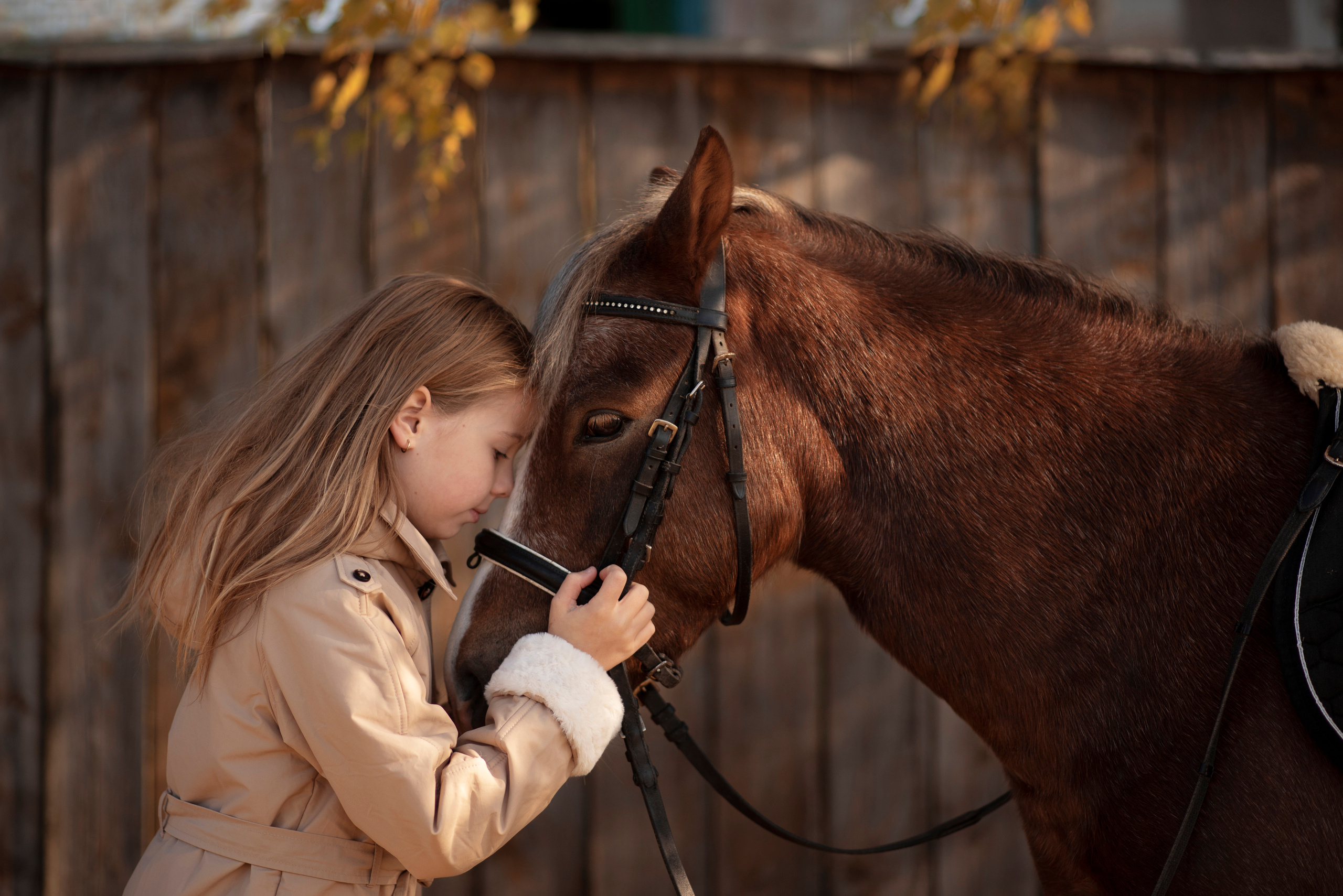 Съёмка детей с животными. Семейный и детский фотограф в Москве Анна Оськина