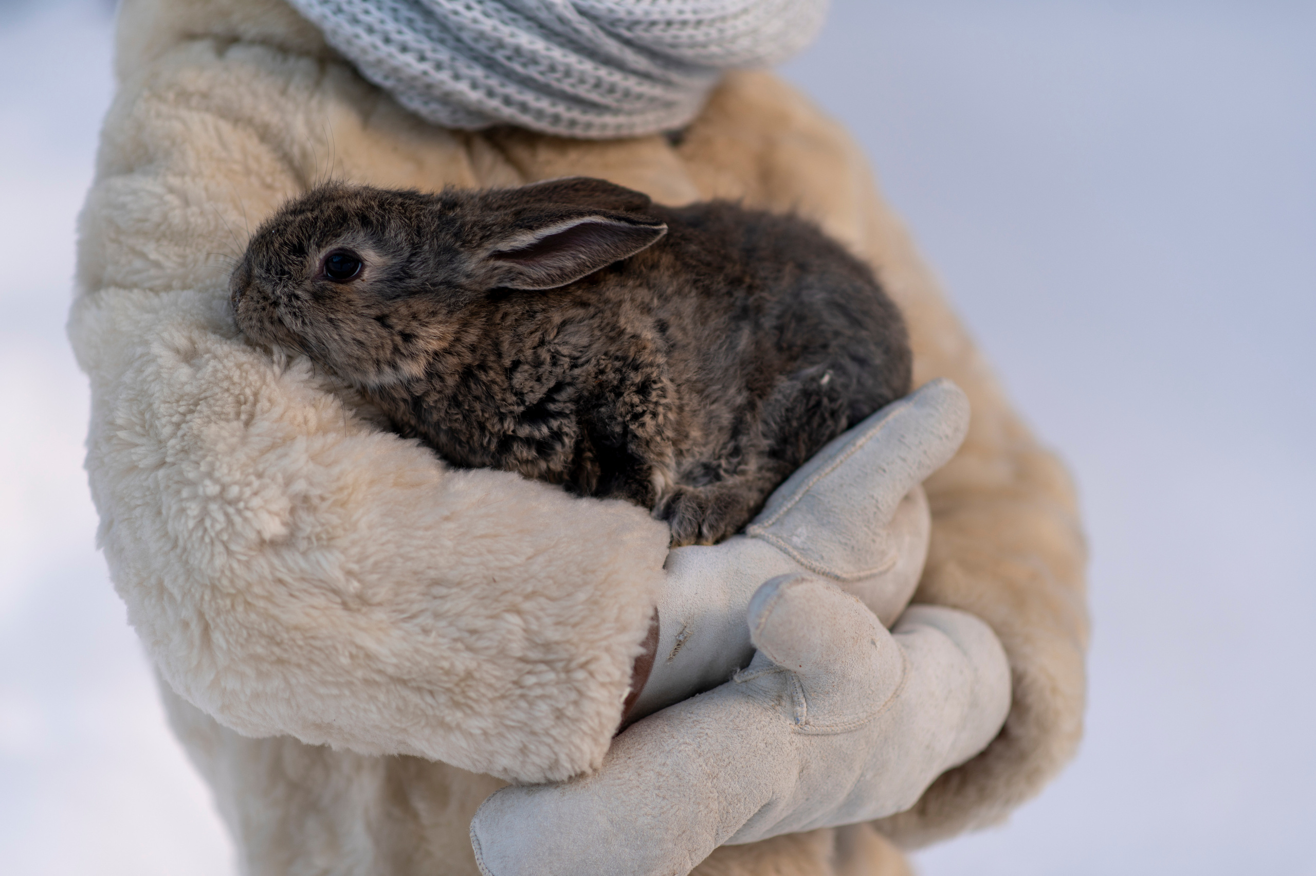 Съёмка детей с животными. Семейный и детский фотограф в Москве Анна Оськина