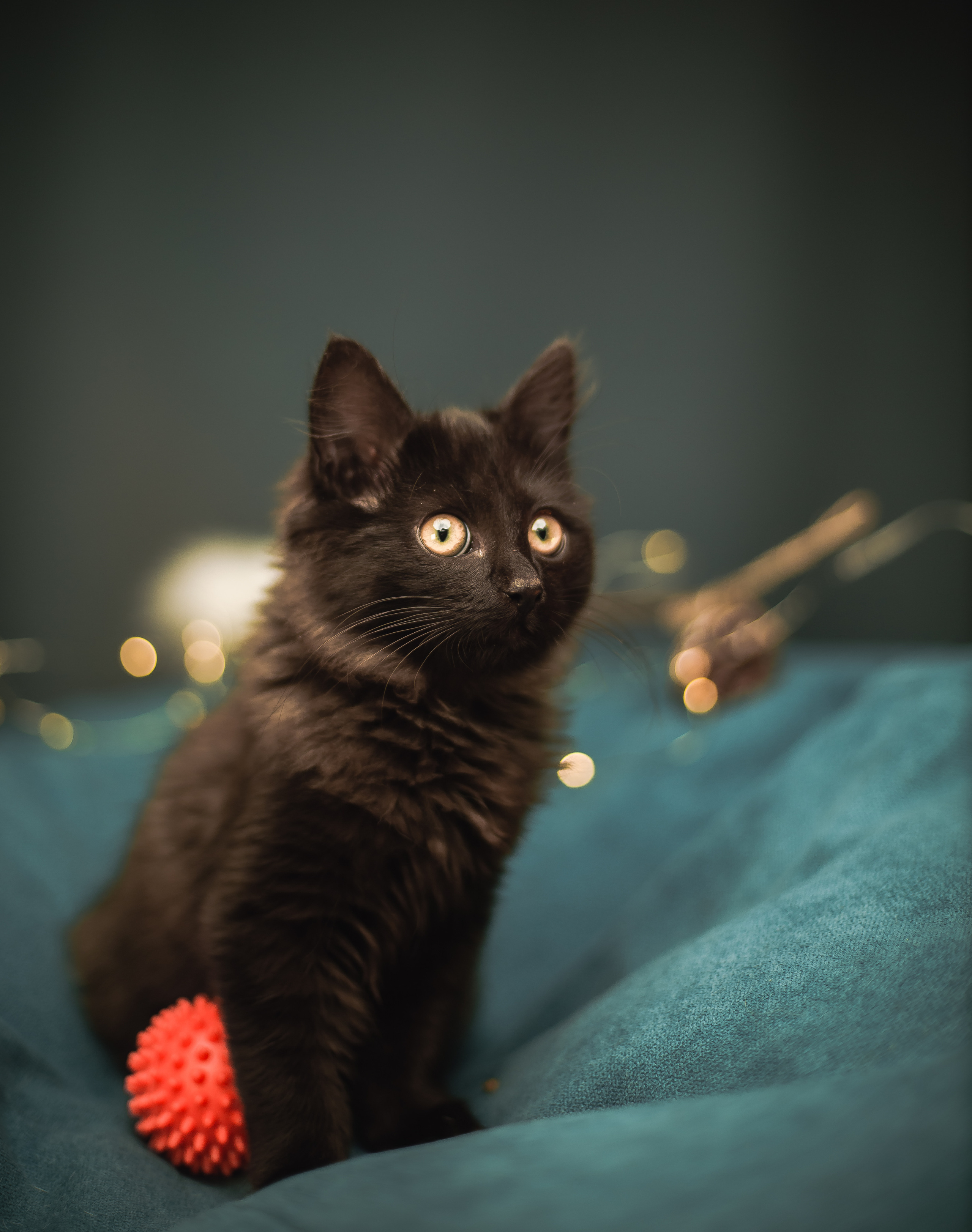 Галерея Творческое. #AugustBlick