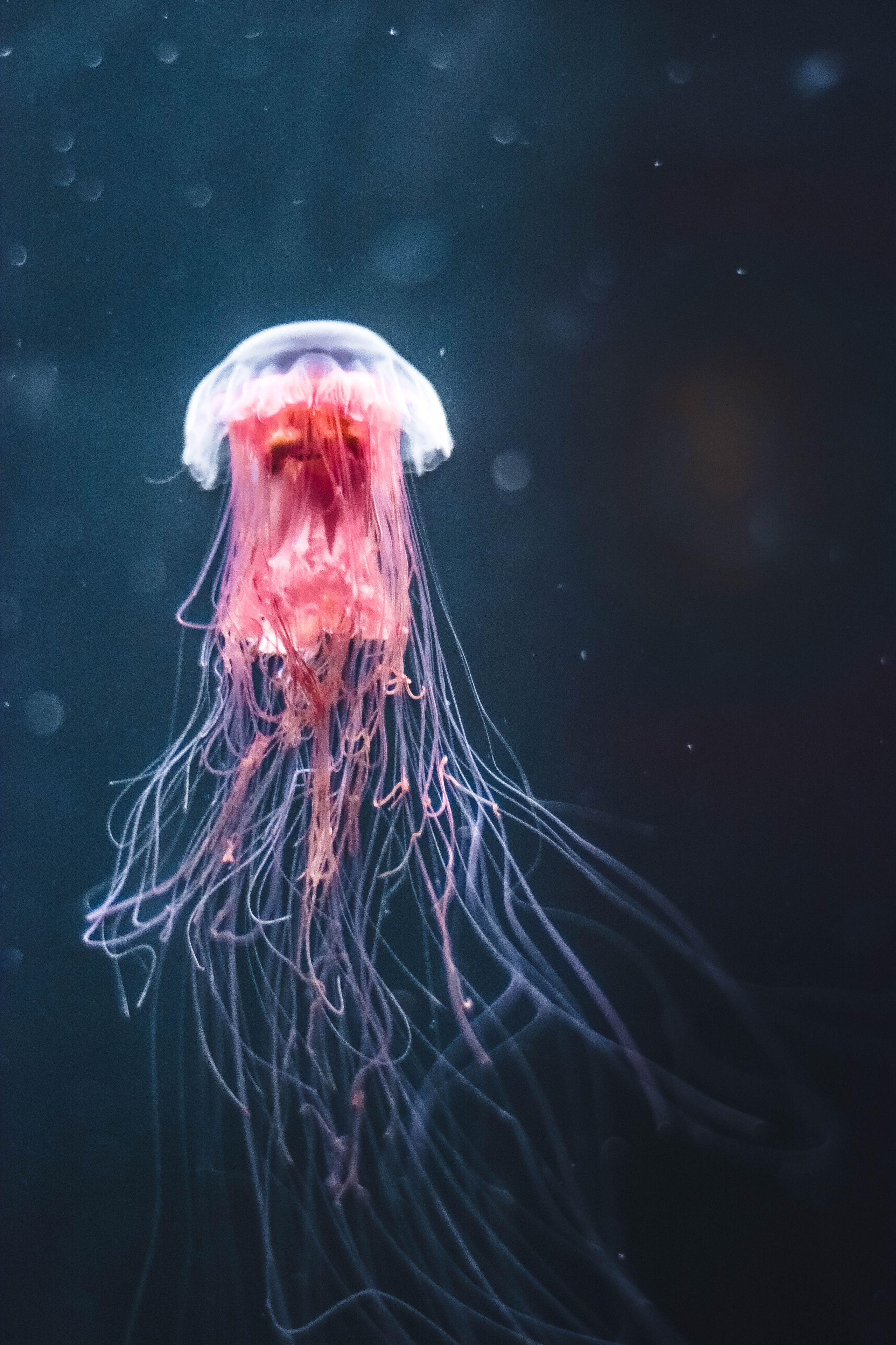 Галерея Творческое. #AugustBlick