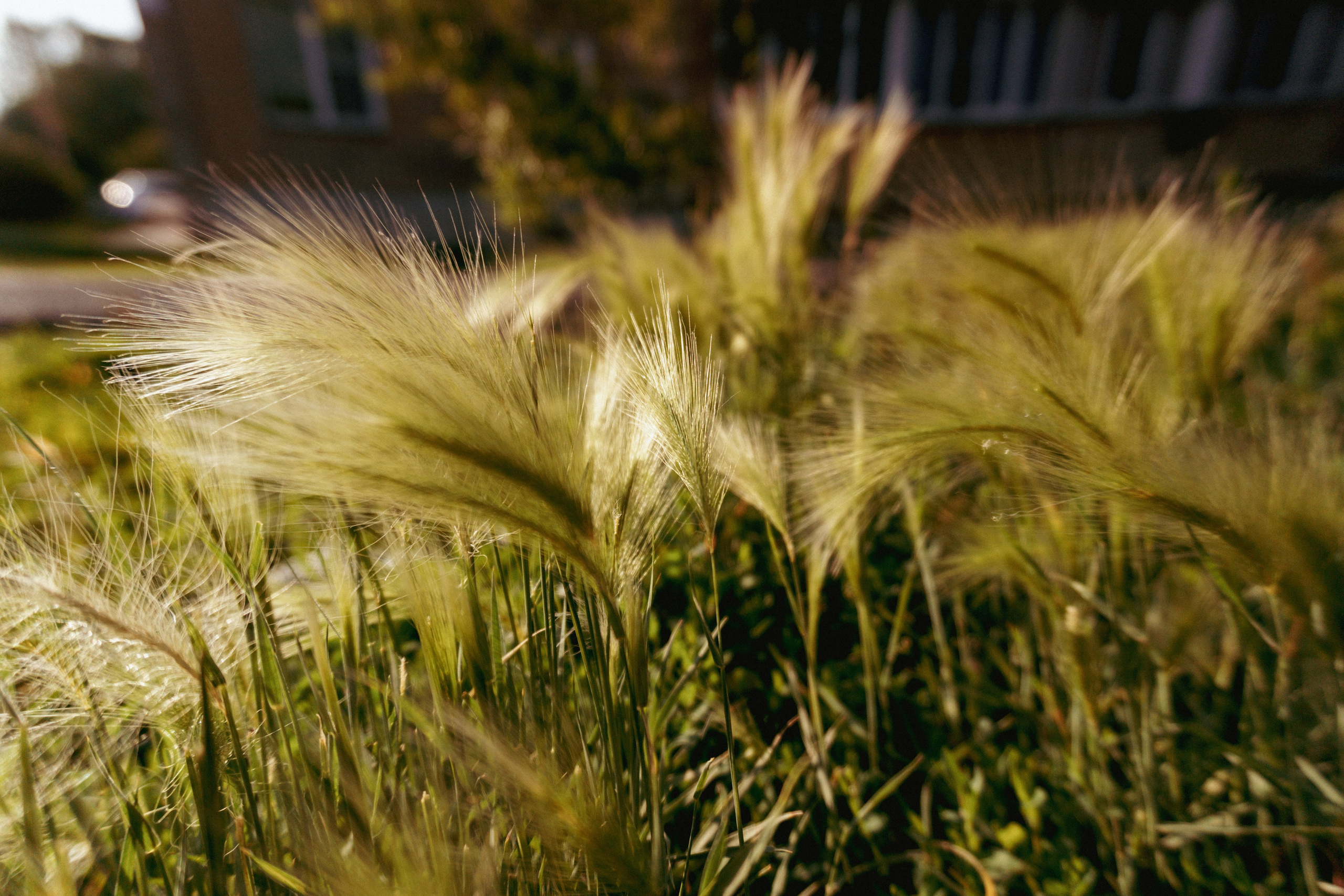 06.07.2025 | Сосновоборск. Kuznetsov | Фотограф в Красноярске