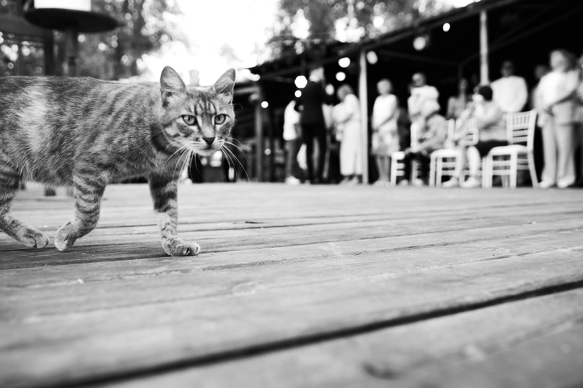 Свадебный фотограф СПБ МСК Саратов. Фотограф Максим Маркелов