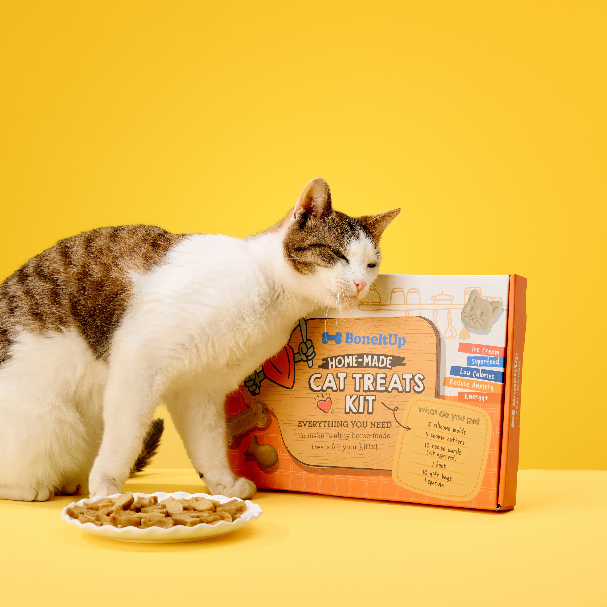 Advertising shooting with animals. Pets in advertising. Dog photographer Averianova Anna — Art photography of dogs