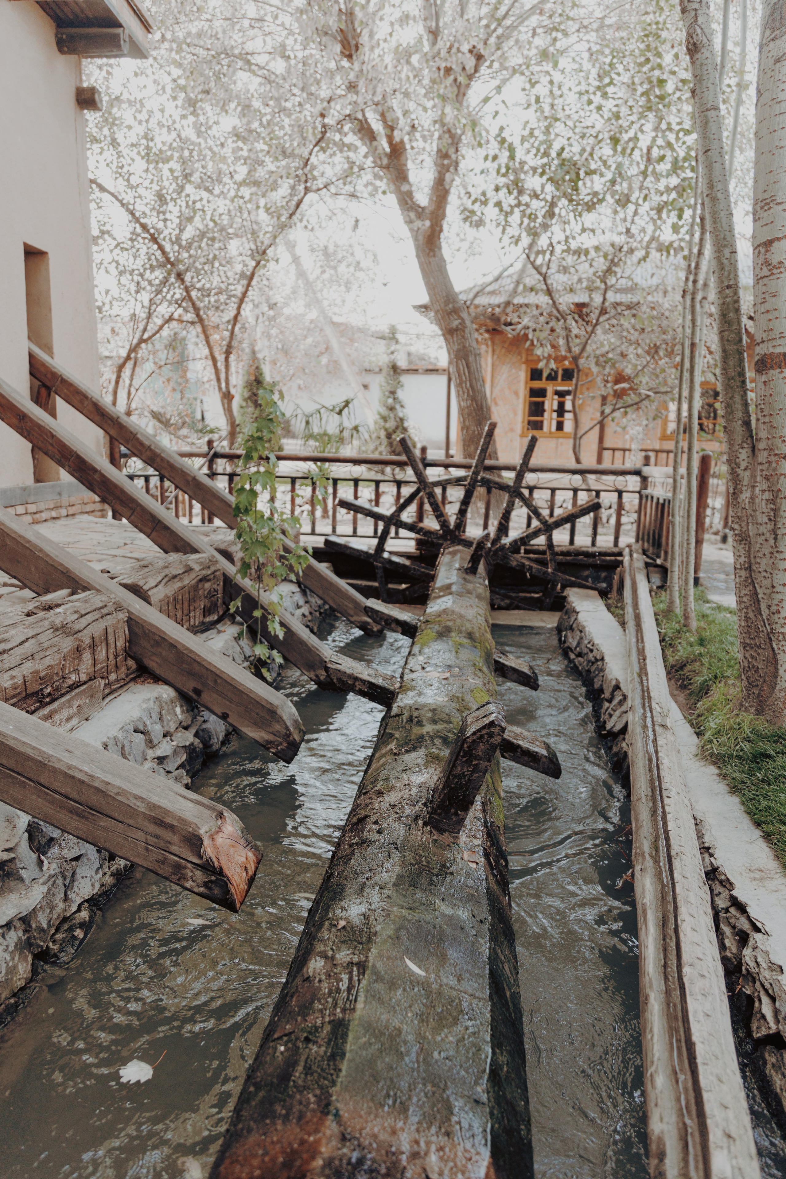 Узбекистан. Креатор Ольга Яш