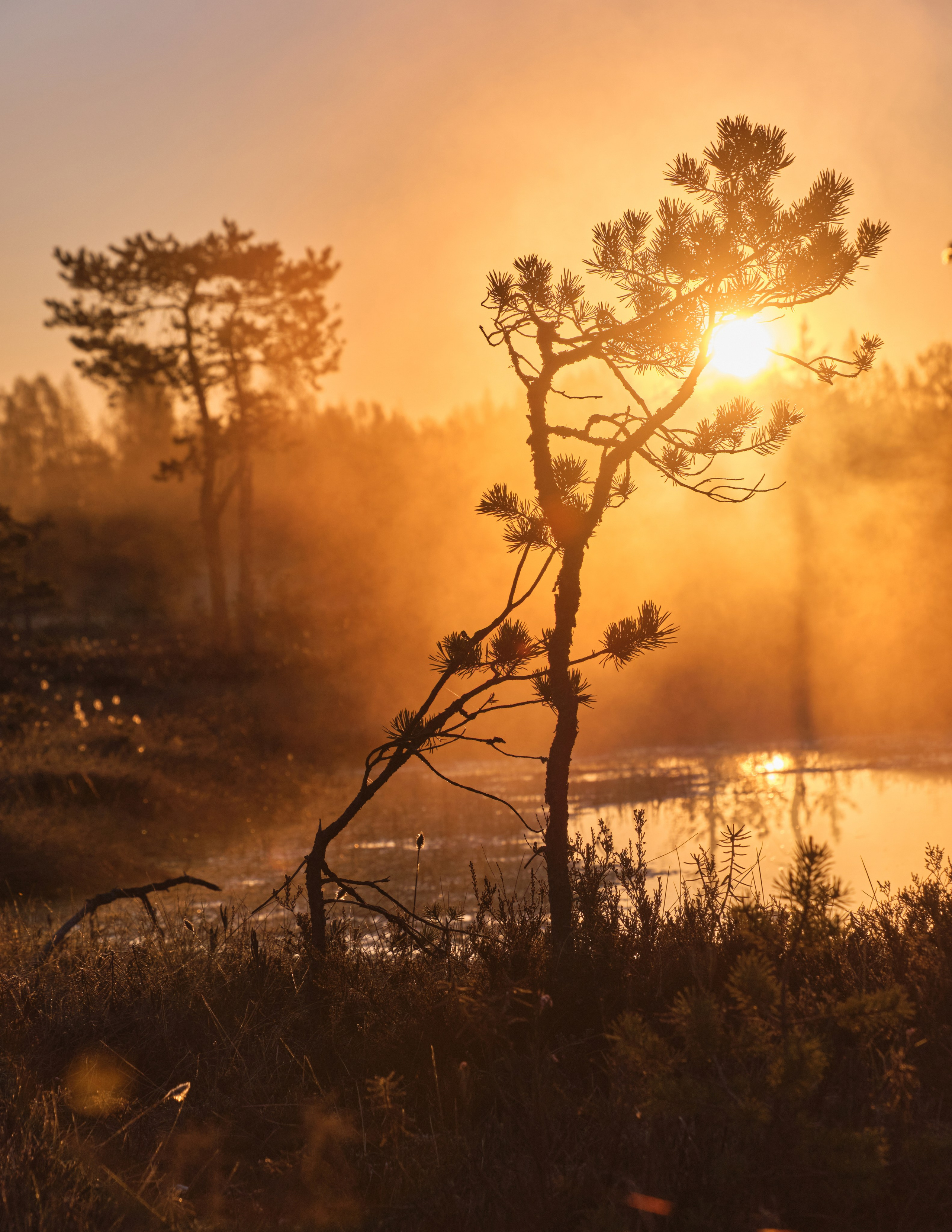 Северные дневники. Алиса Северная. Визуальные исследования. Пейзажная и документальная фотография