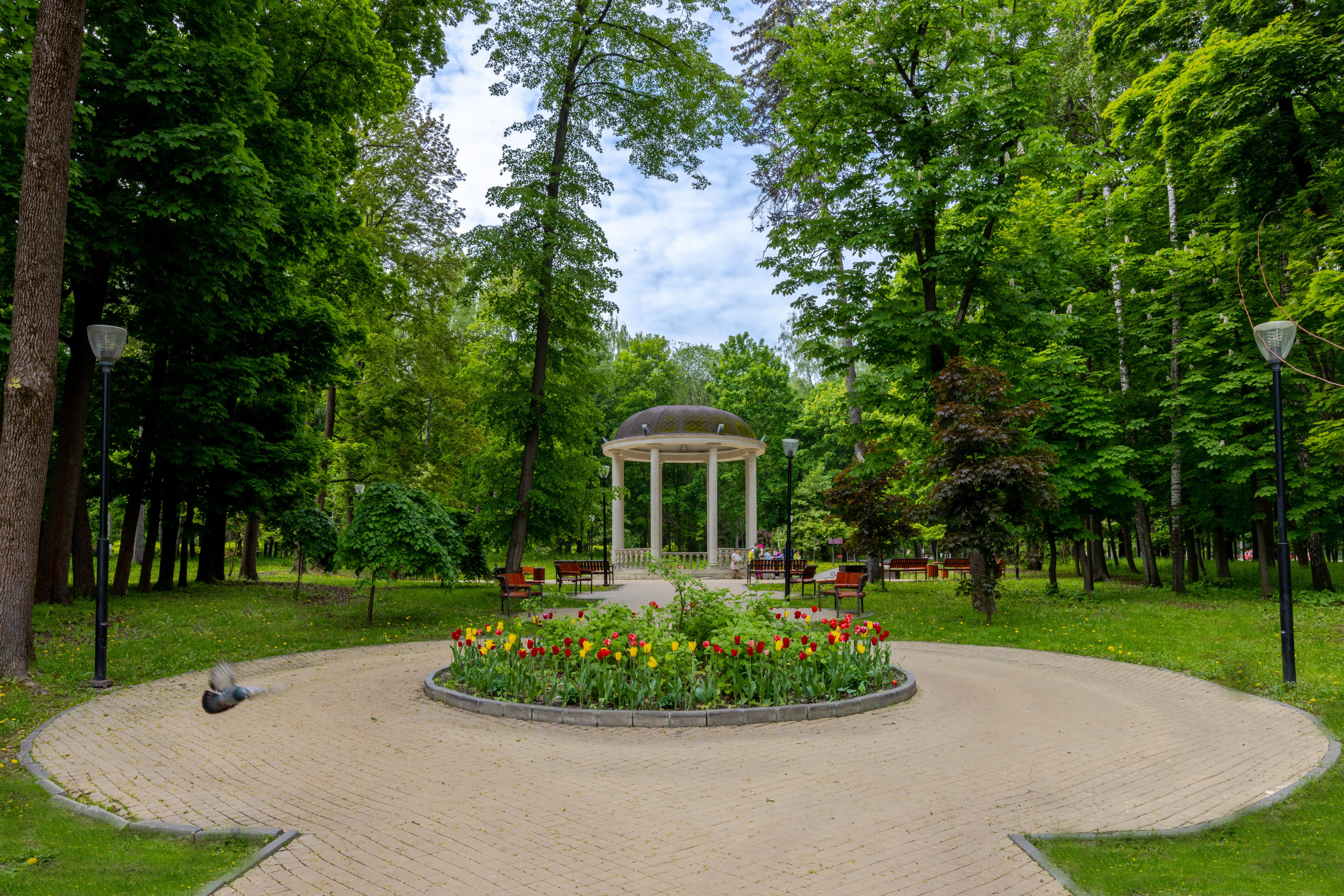 Парк им. П. П. Белоусова г. Тула 2024 г. Фотограф в Туле Крупский АнДРей. Фотостудия «КАДР71» в Туле