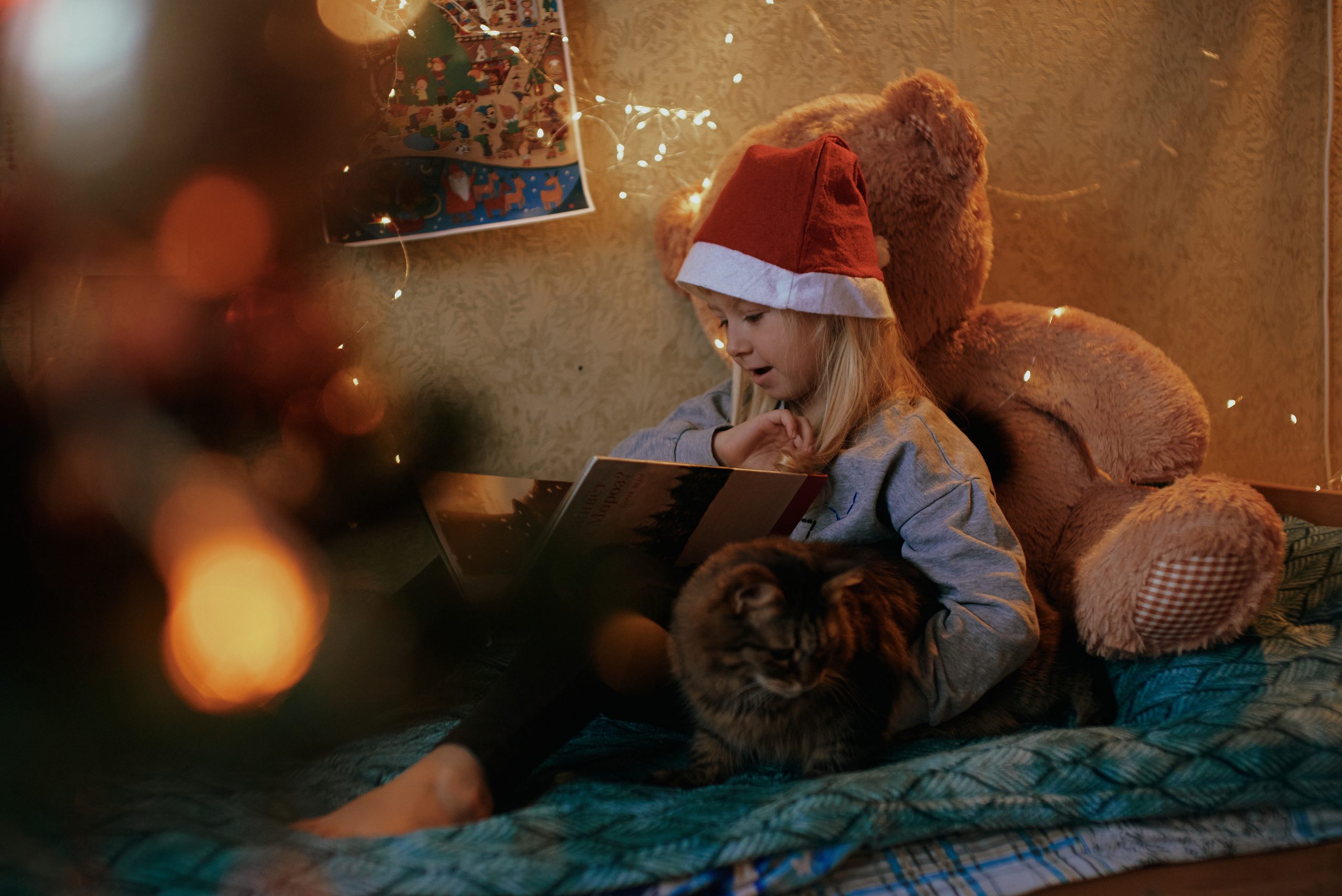 Домашние зарисовки. Фотограф в Санкт Петербурге Александра Вильдгрубе