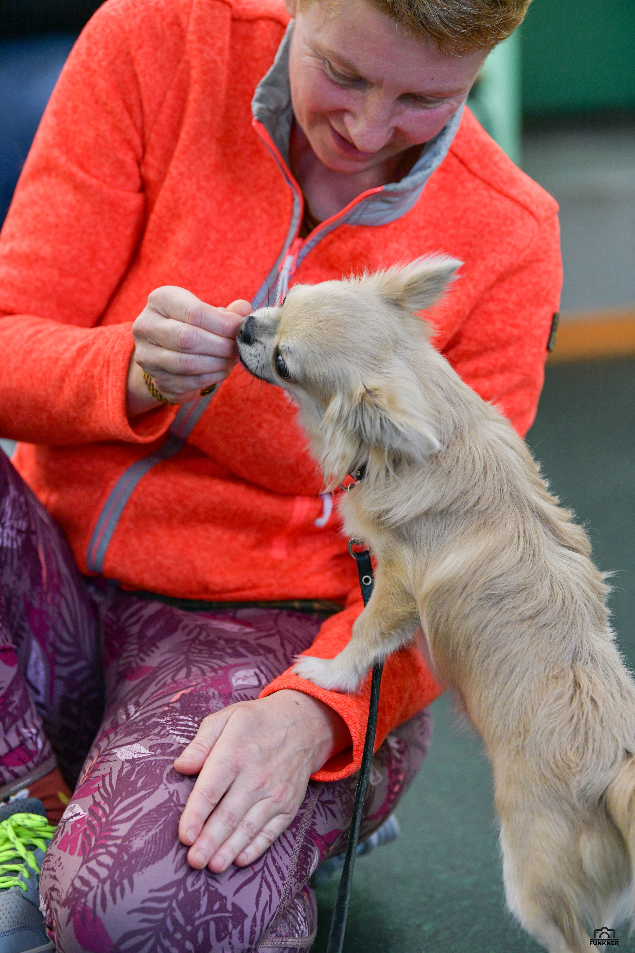 Кинологический клуб «Бодрый хвост». Свой взгляд через объектив